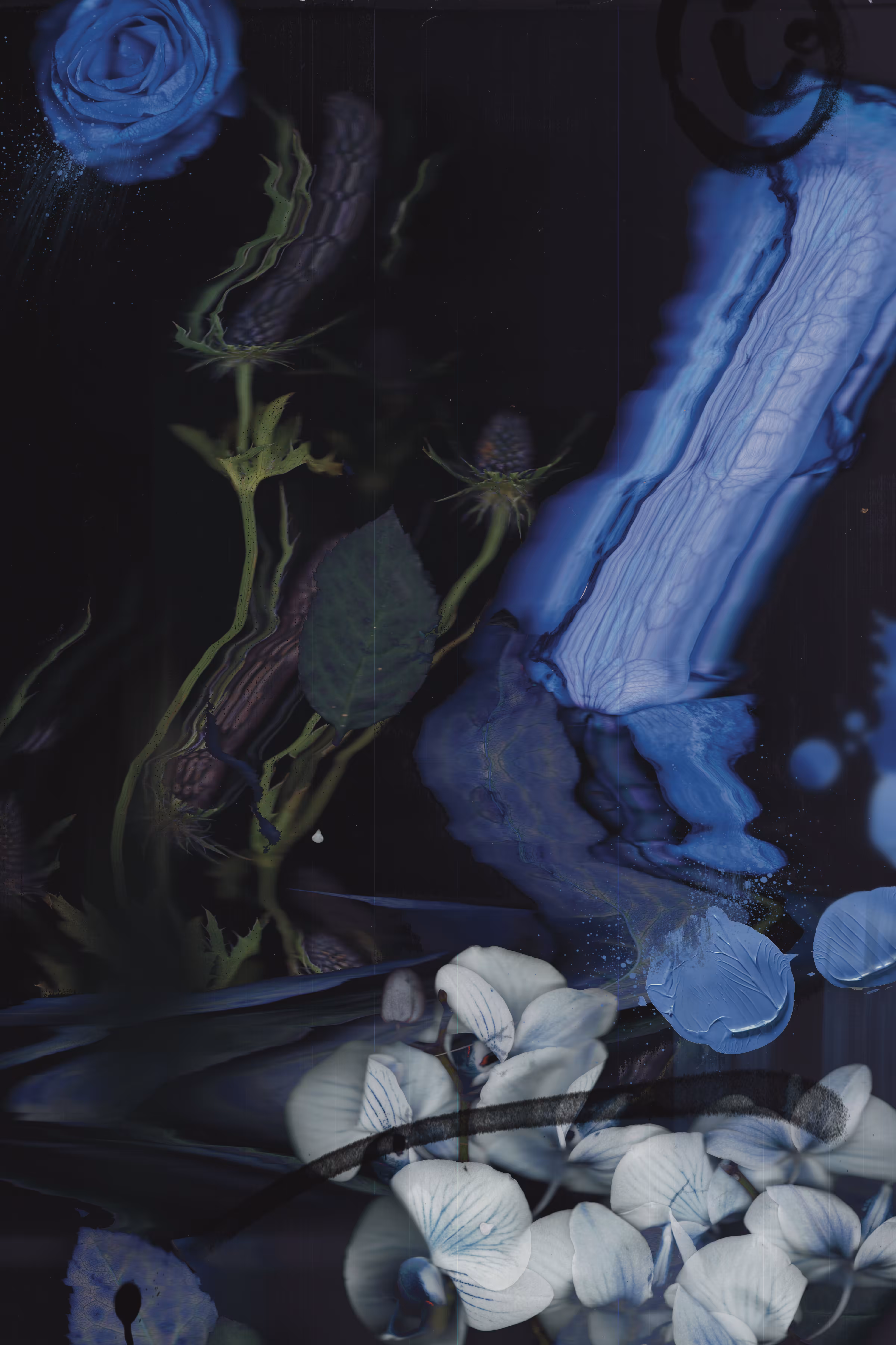 Blue Flowers Don't Wilt 2