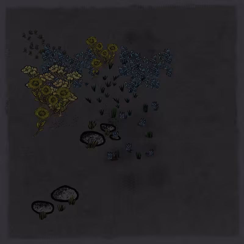 Gardens  #43