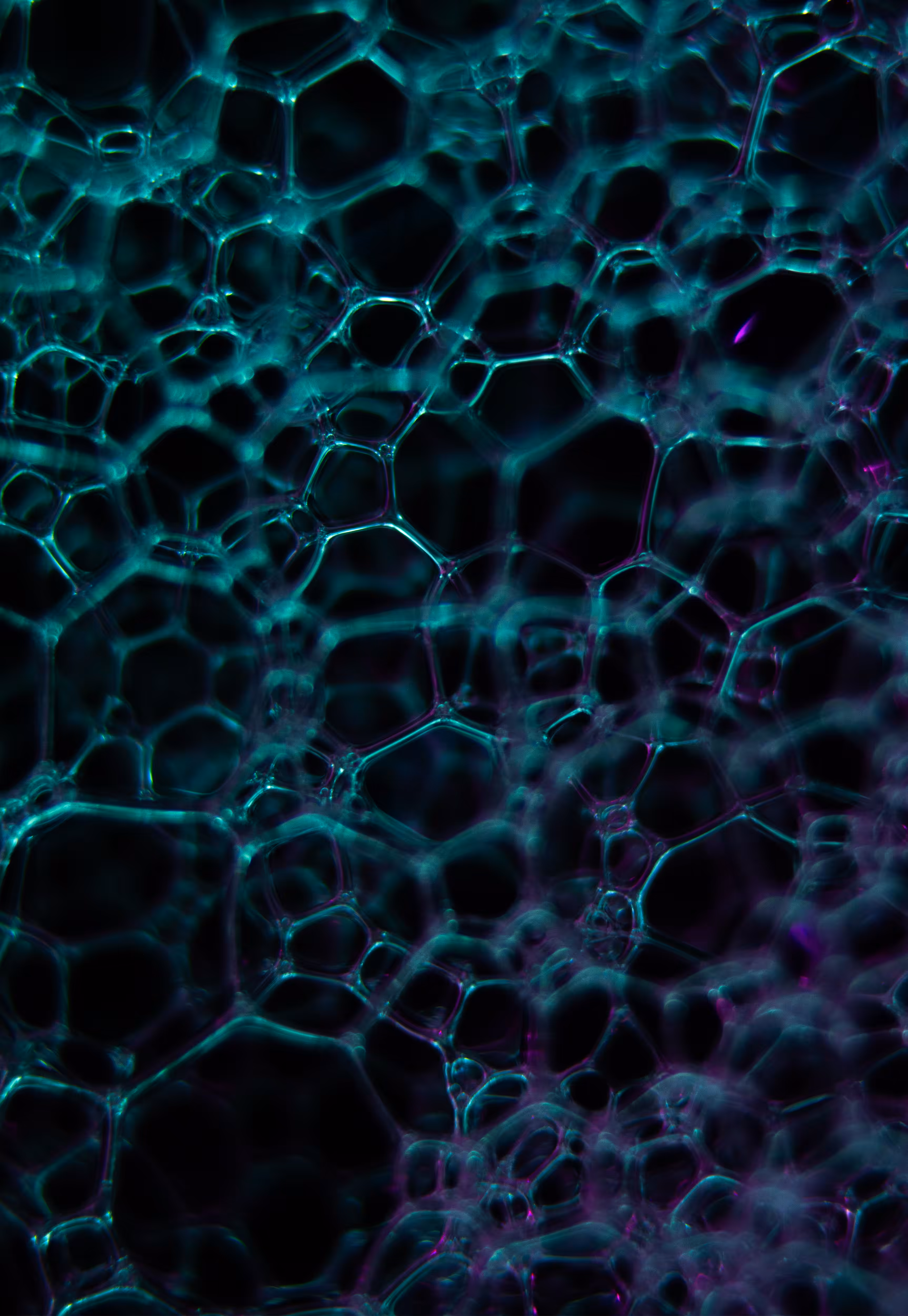 Abstract World of Soap Bubbles: #207 Bubbles