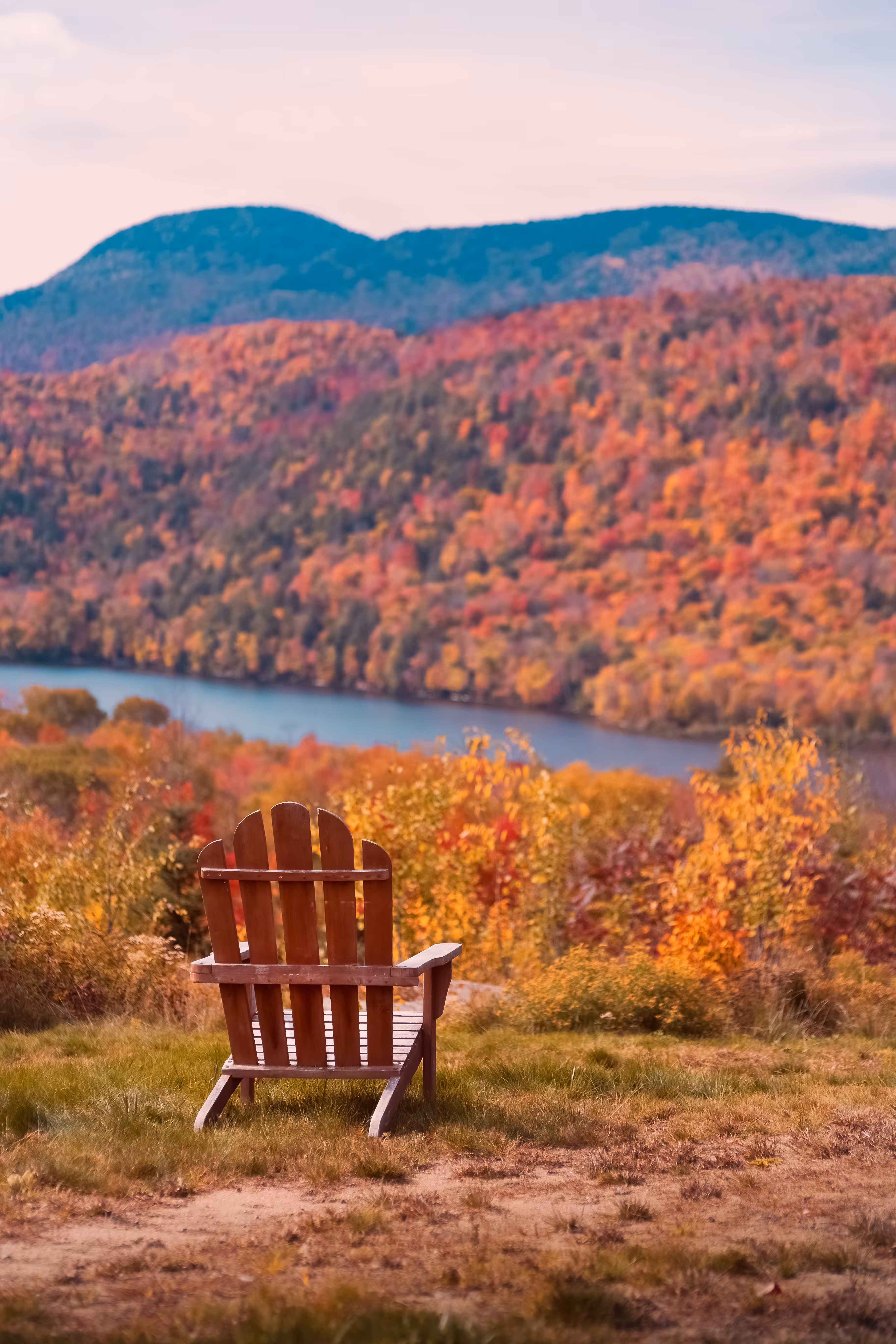 Front Row Seat