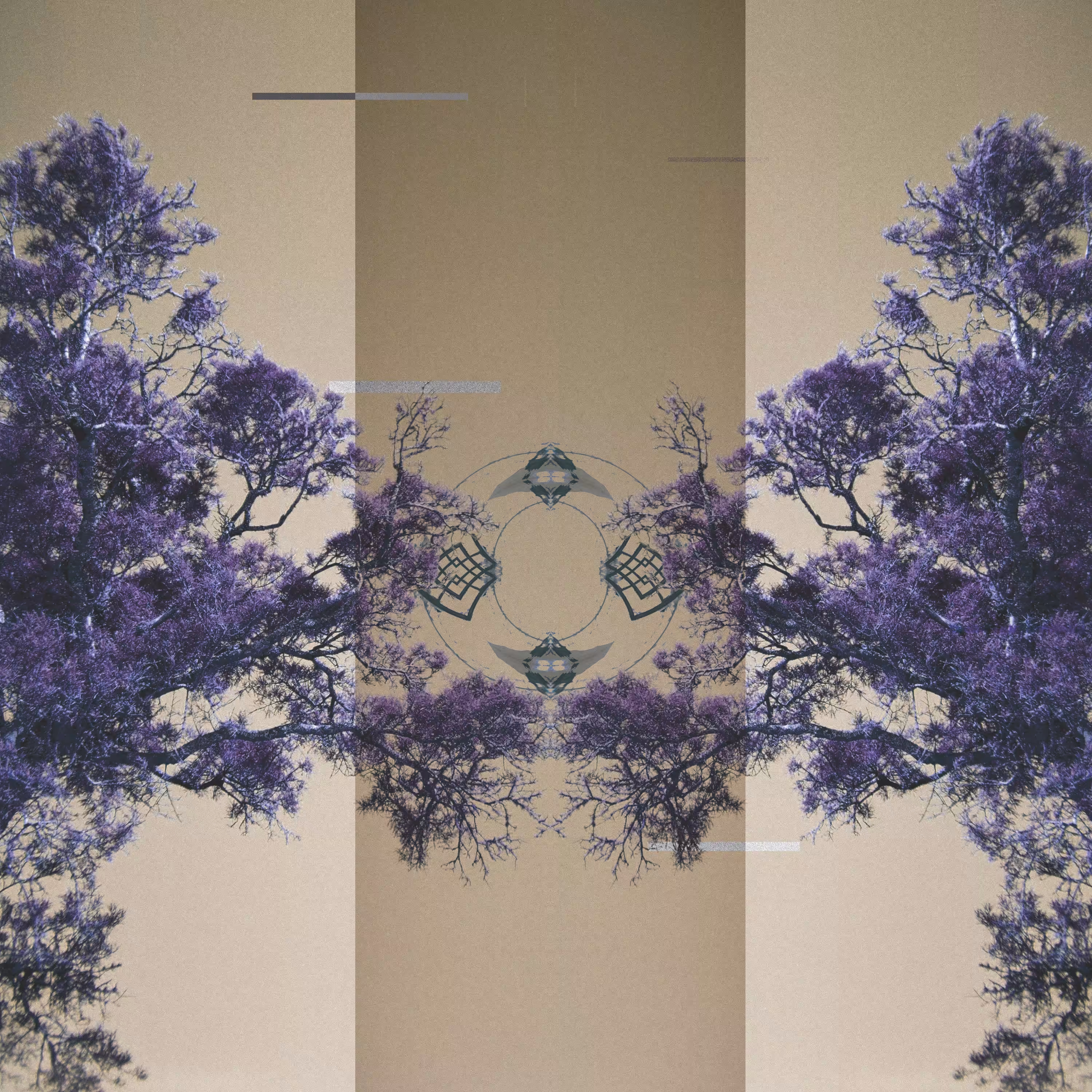 Static Between the Leaves