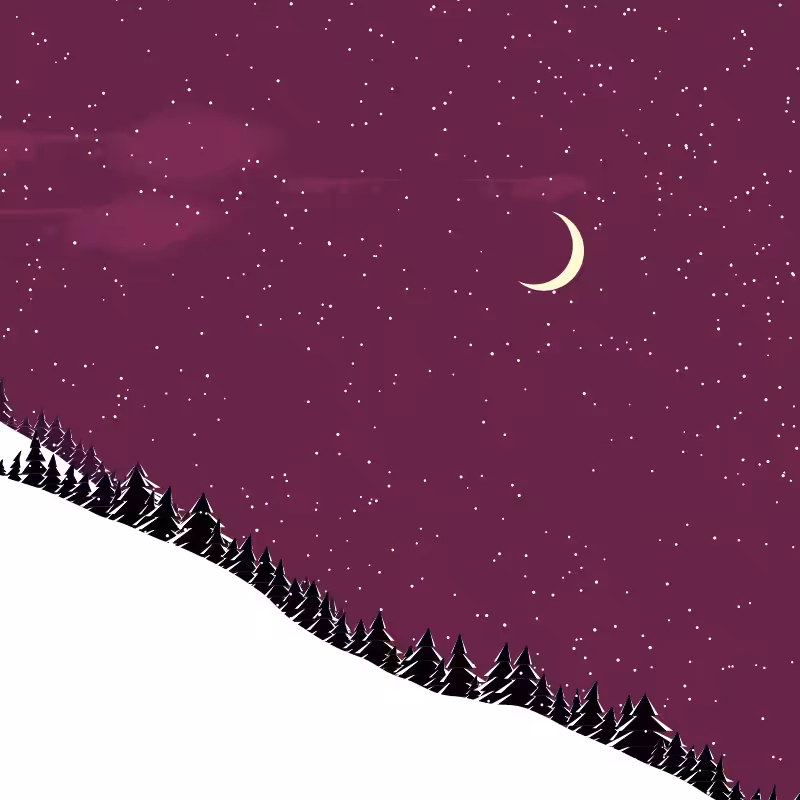 Winterland #125