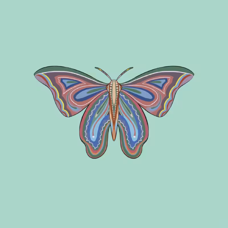 The Moth Experiment 2.0 P2 #36