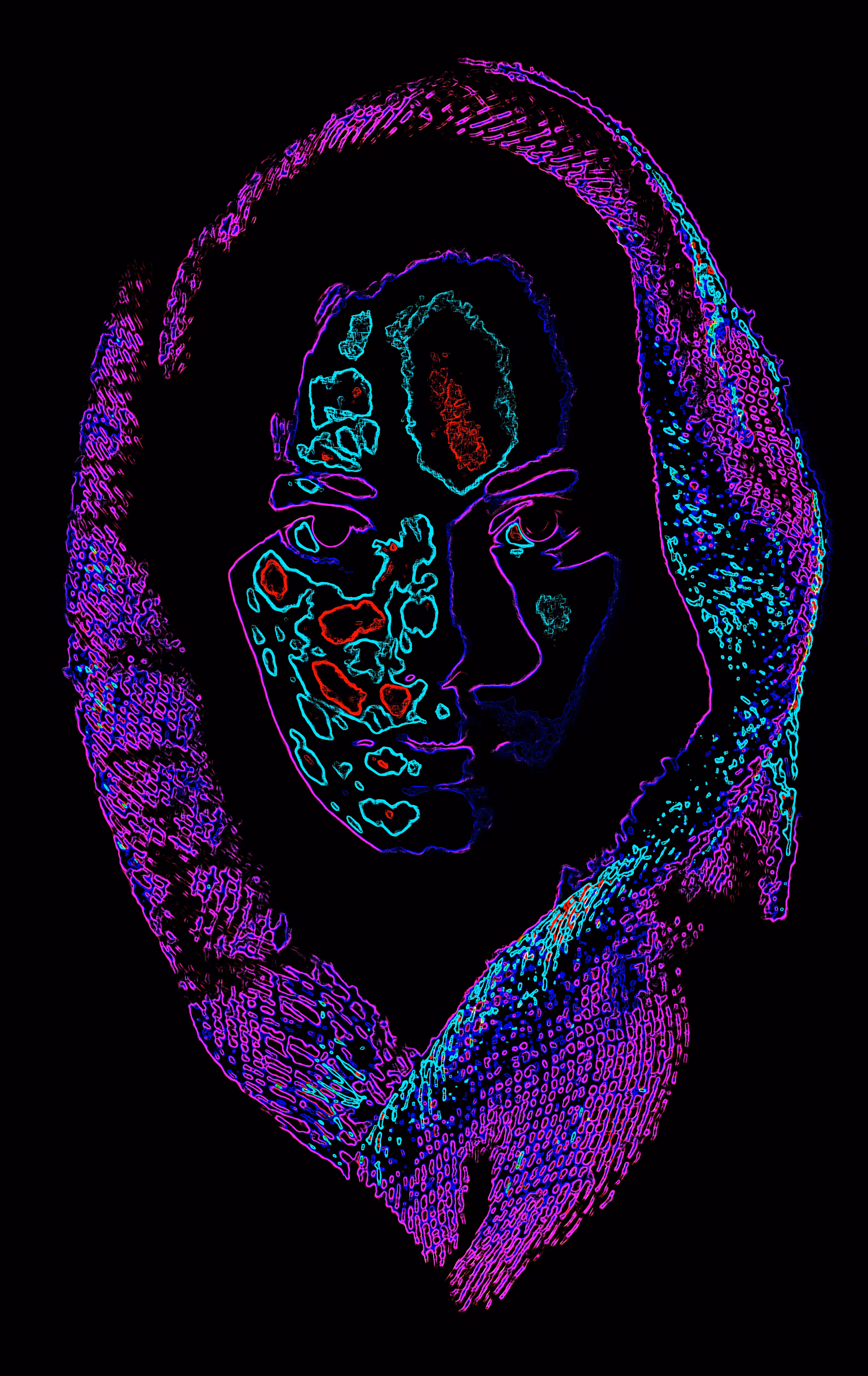 Digital Refugee