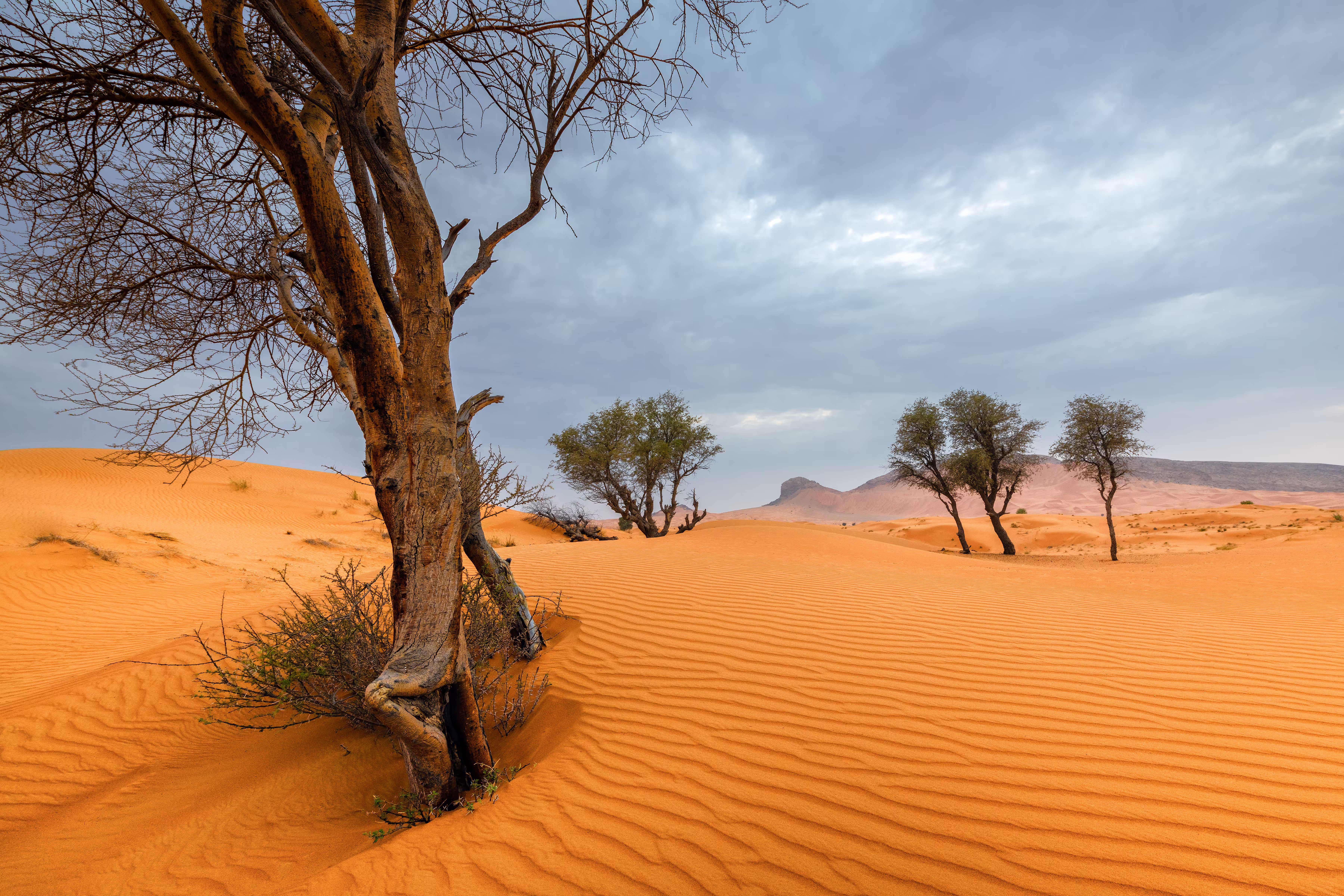 UAE Desertscapes- 9