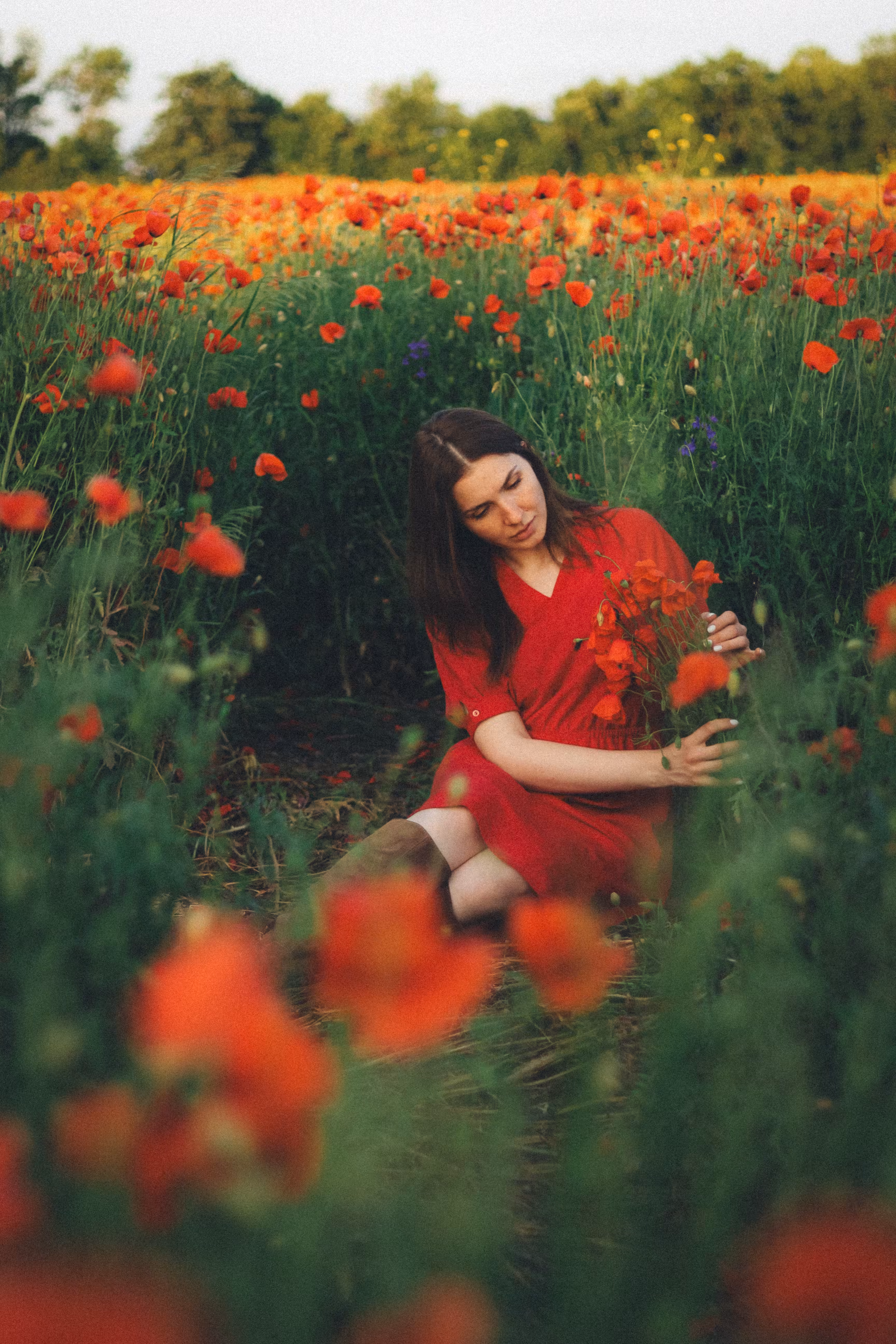 poppy moment