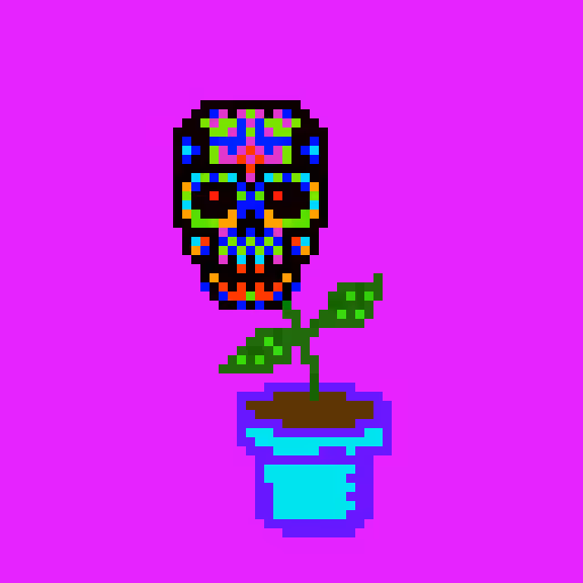 Skull Pot Gang 1 (5)