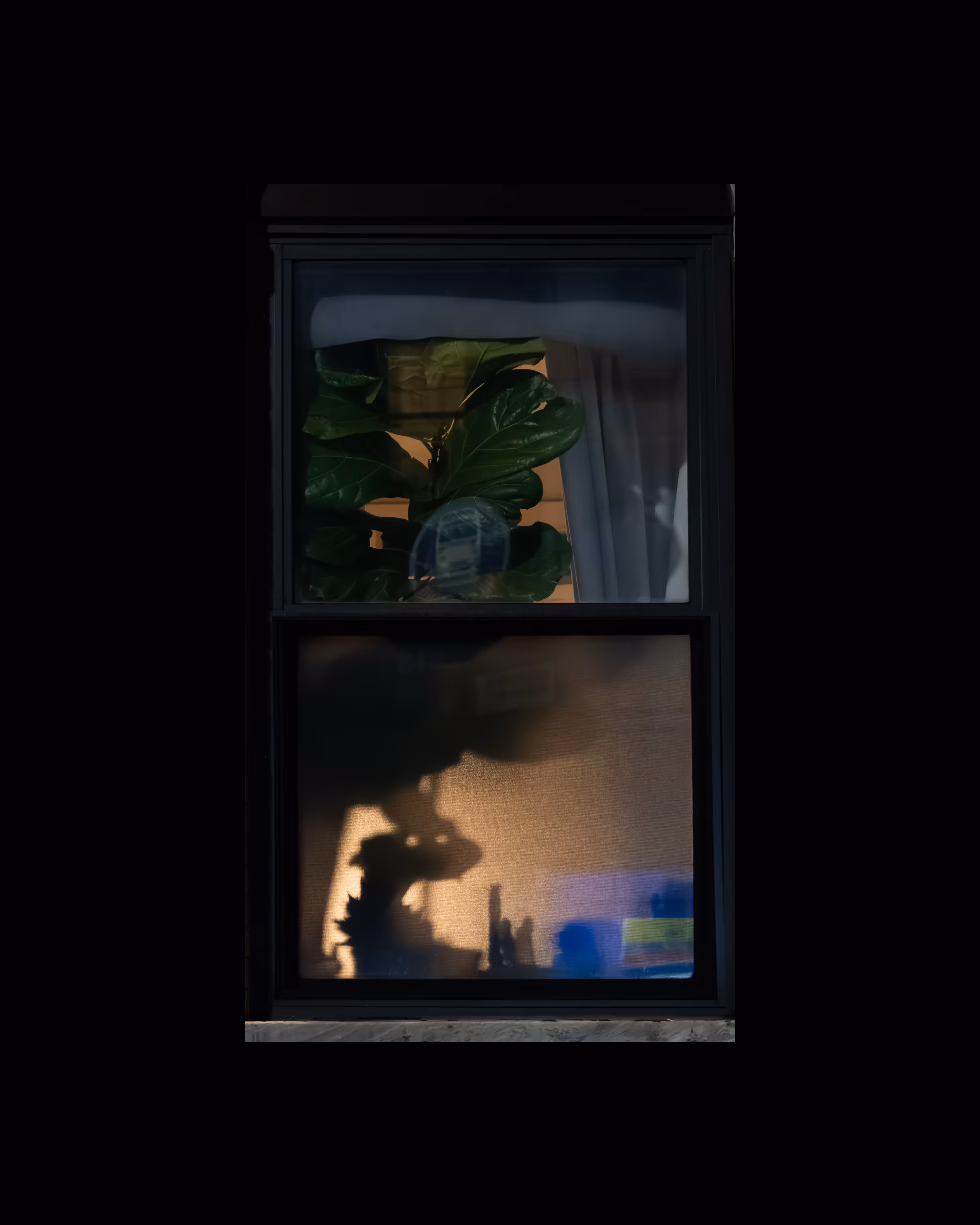 WINDOW 696