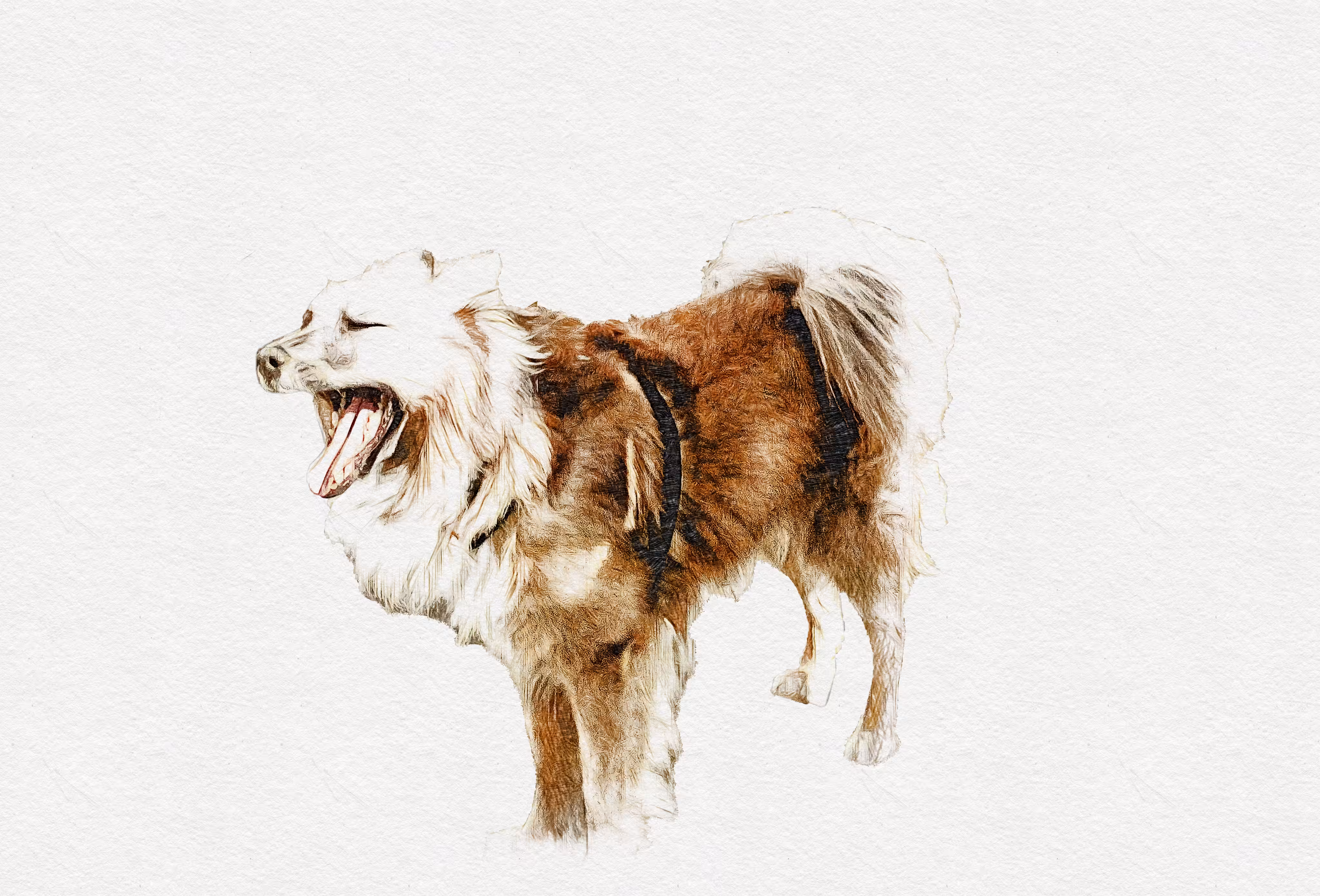 Yawn