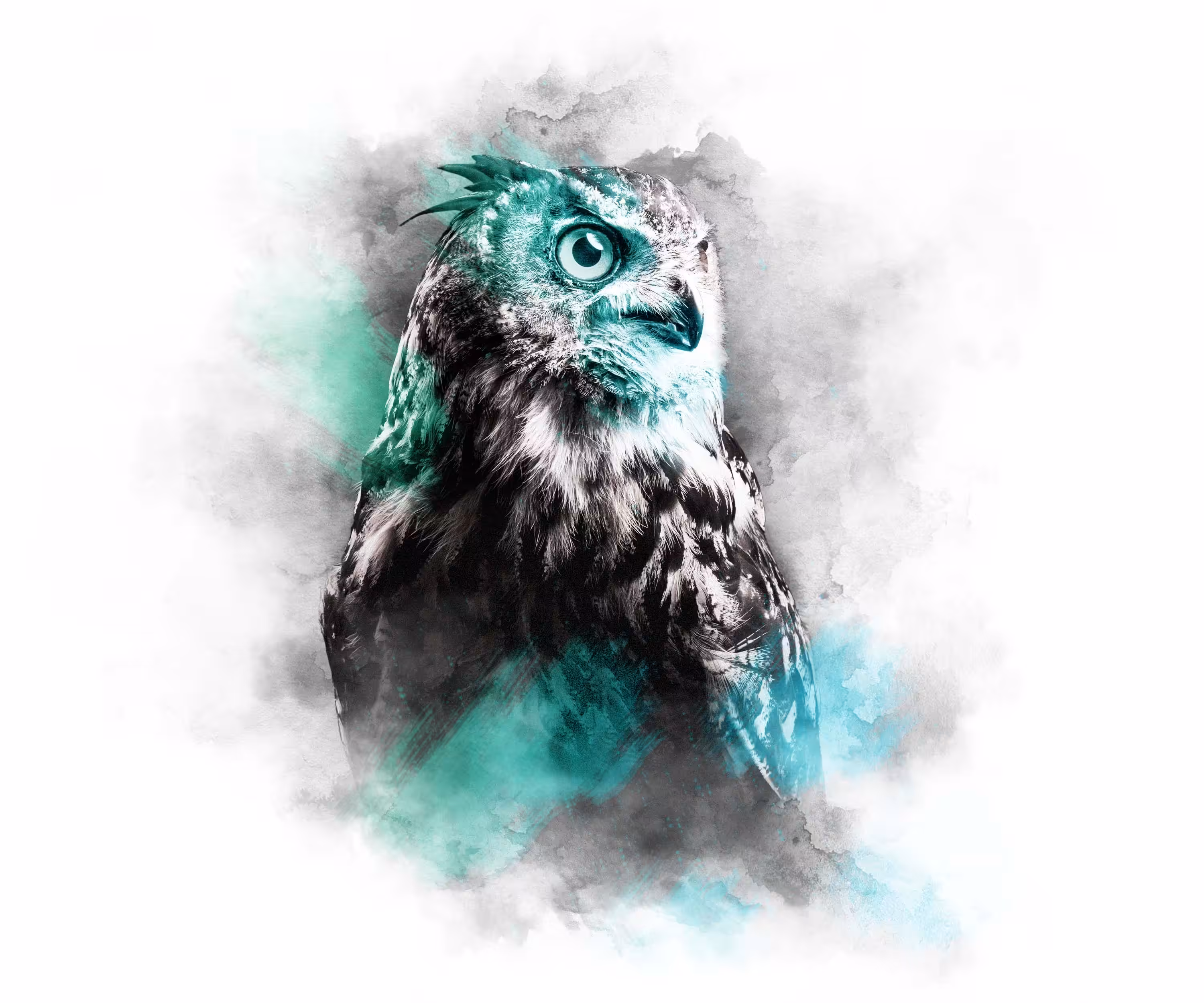 MINT SERIES - GREAT HORNED OWL