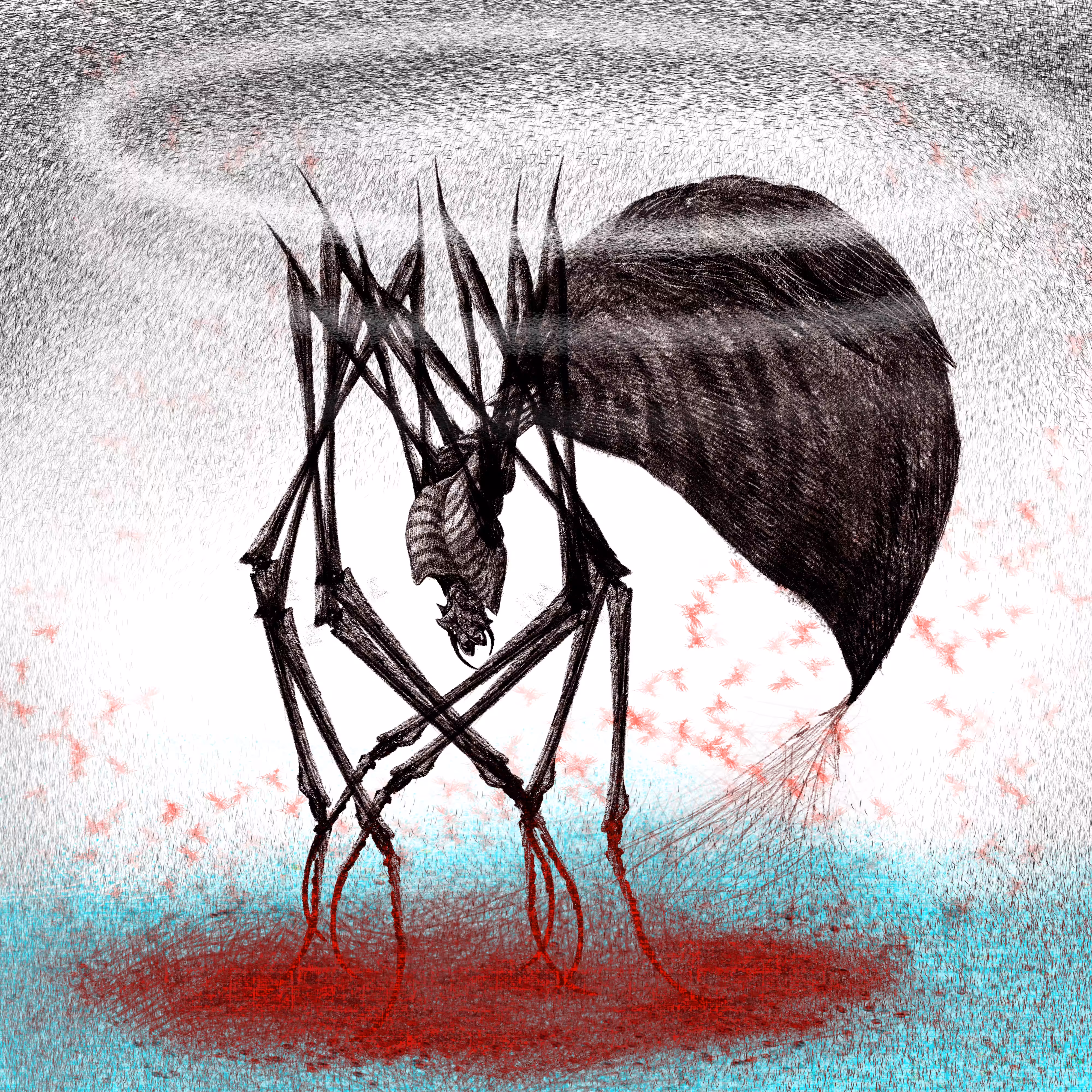 BLACK SPIDER