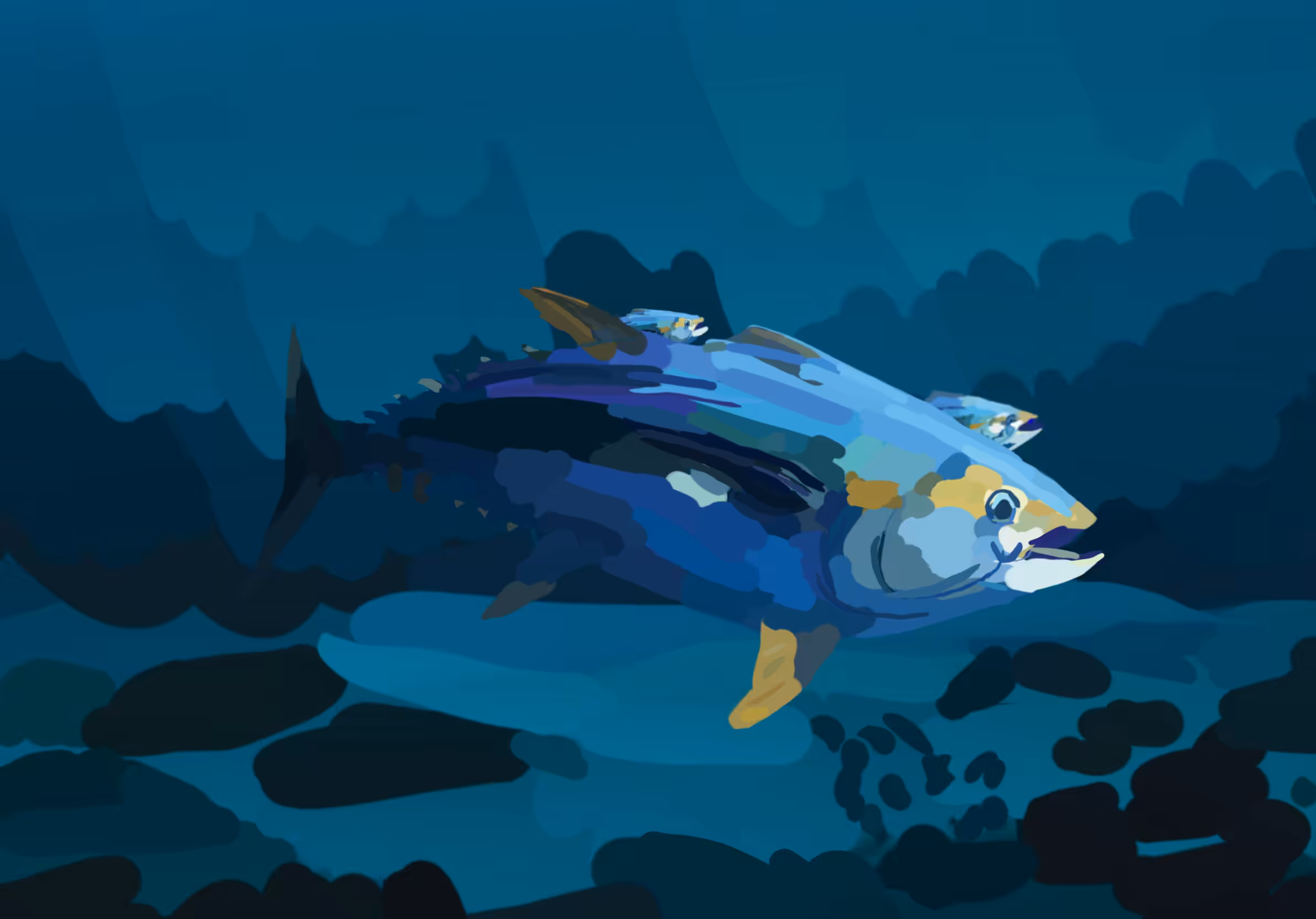 Big Eye Tuna