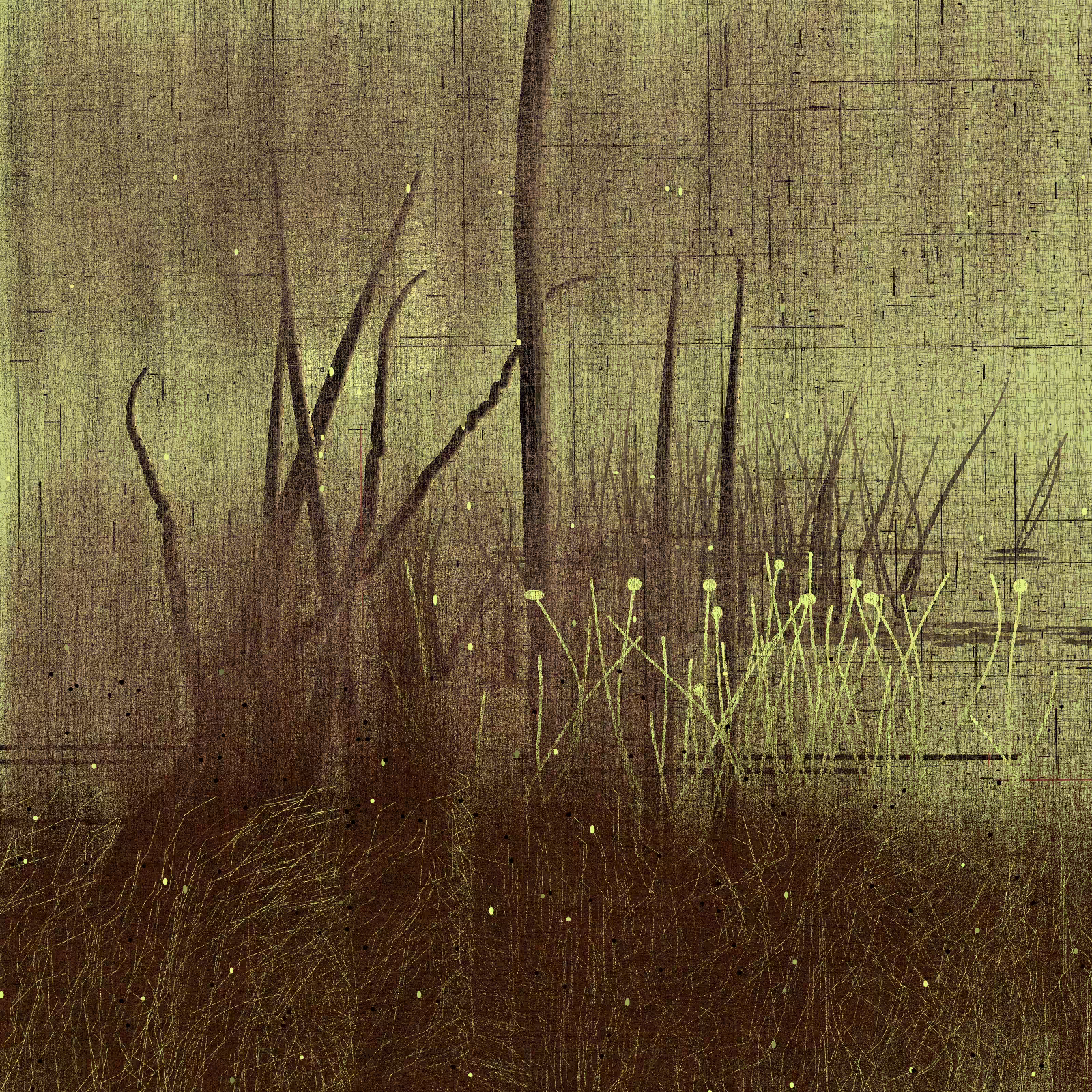 Daydream #84