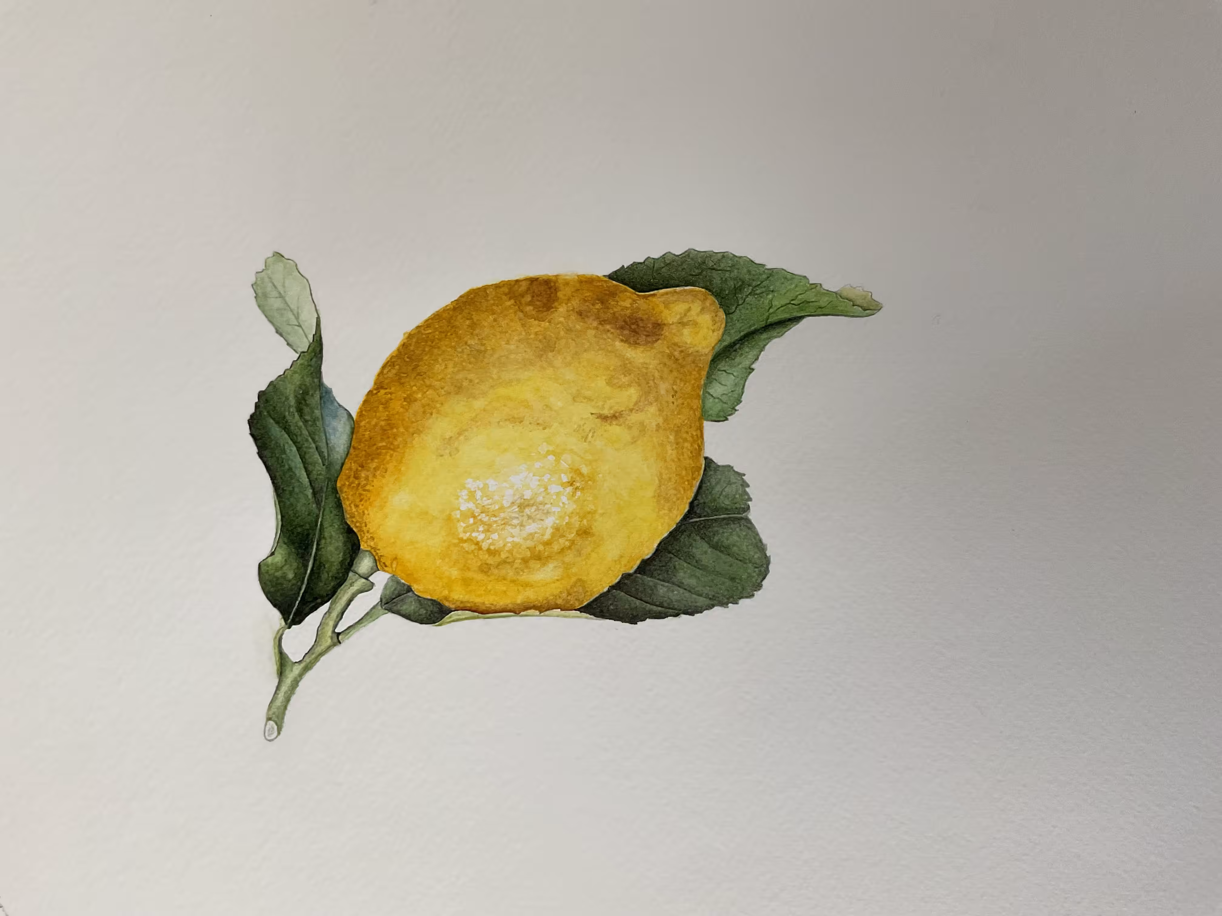 Lemon 