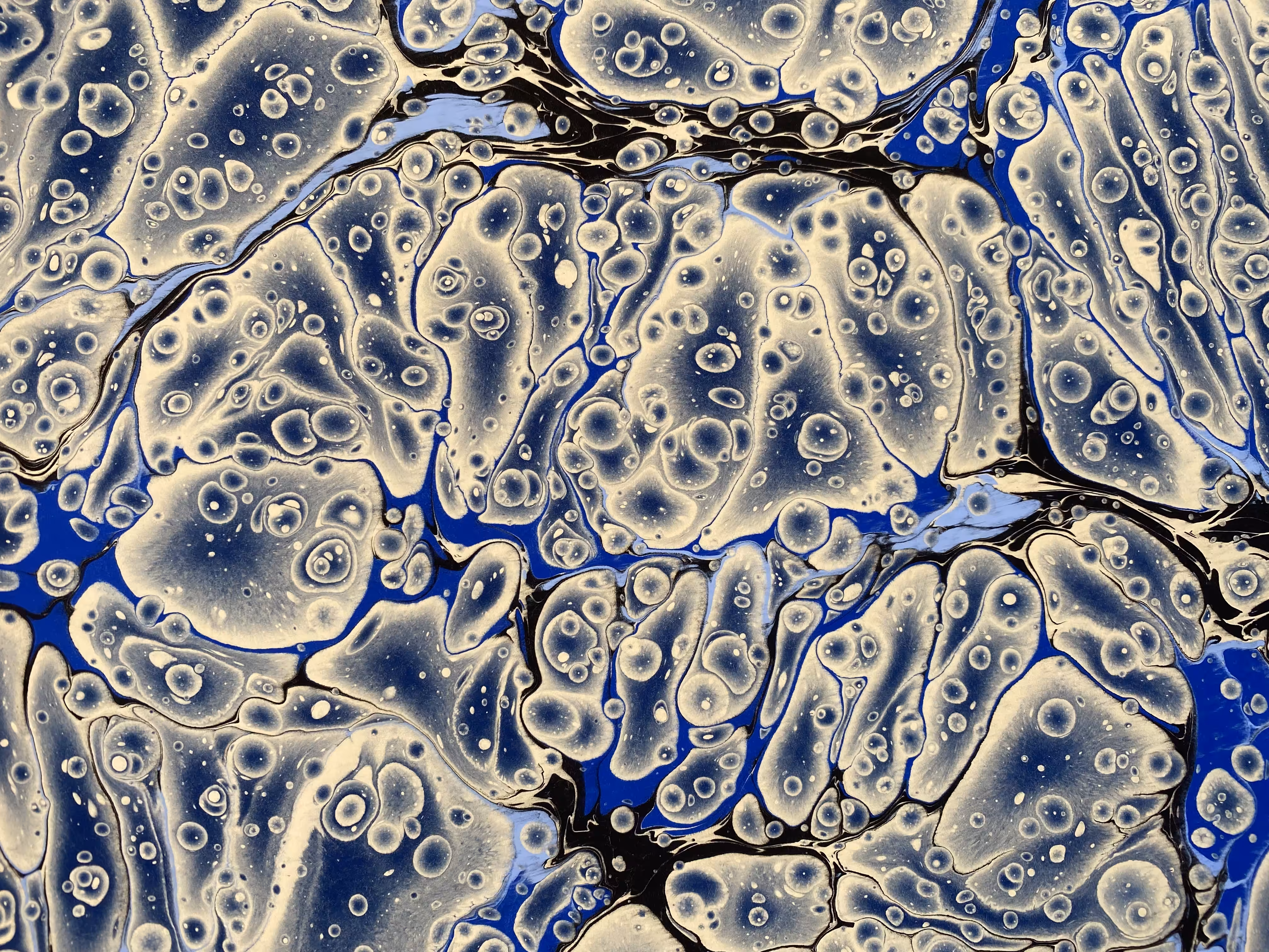 Battal Ebrû / Marbling Art SE #26