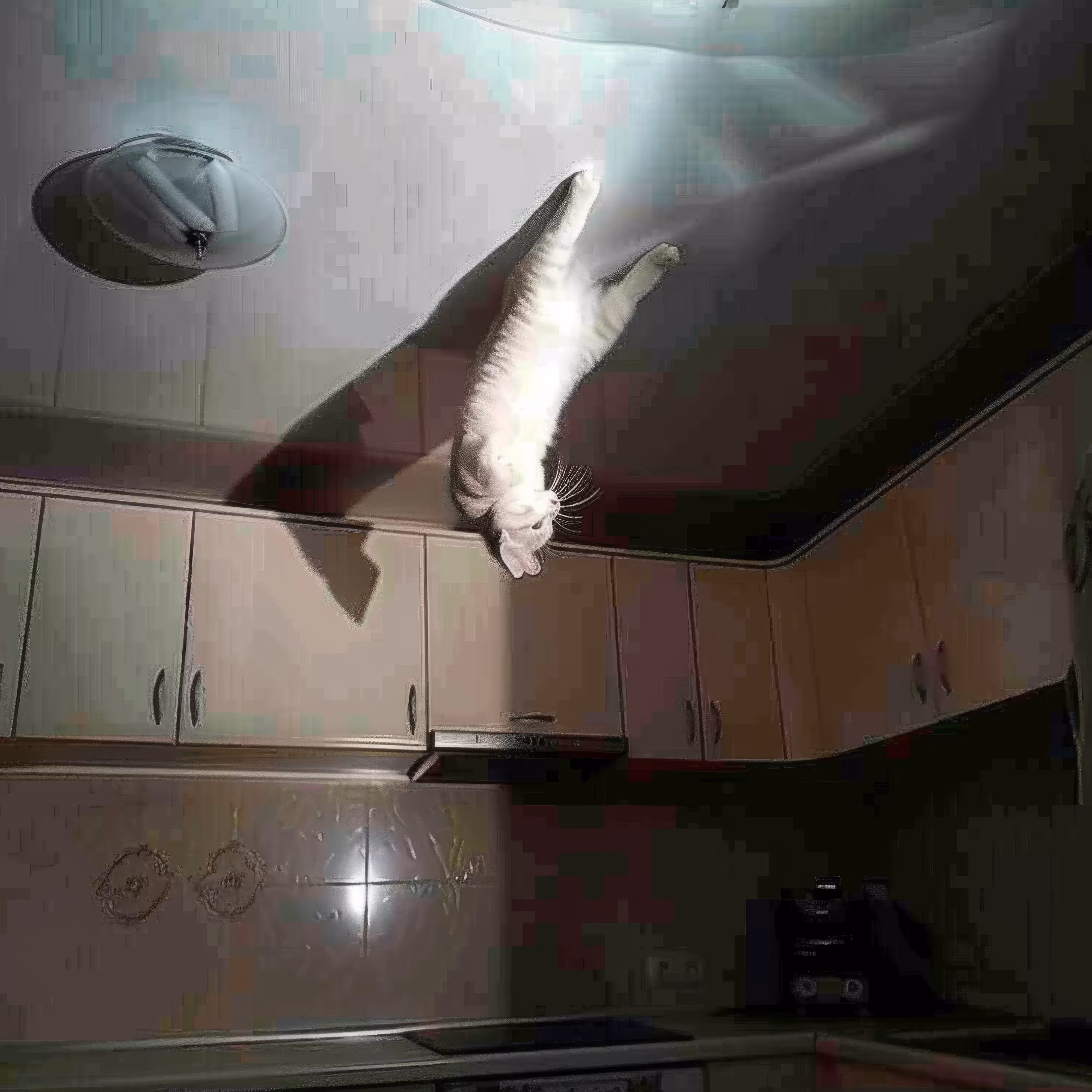 Possessed-Cat