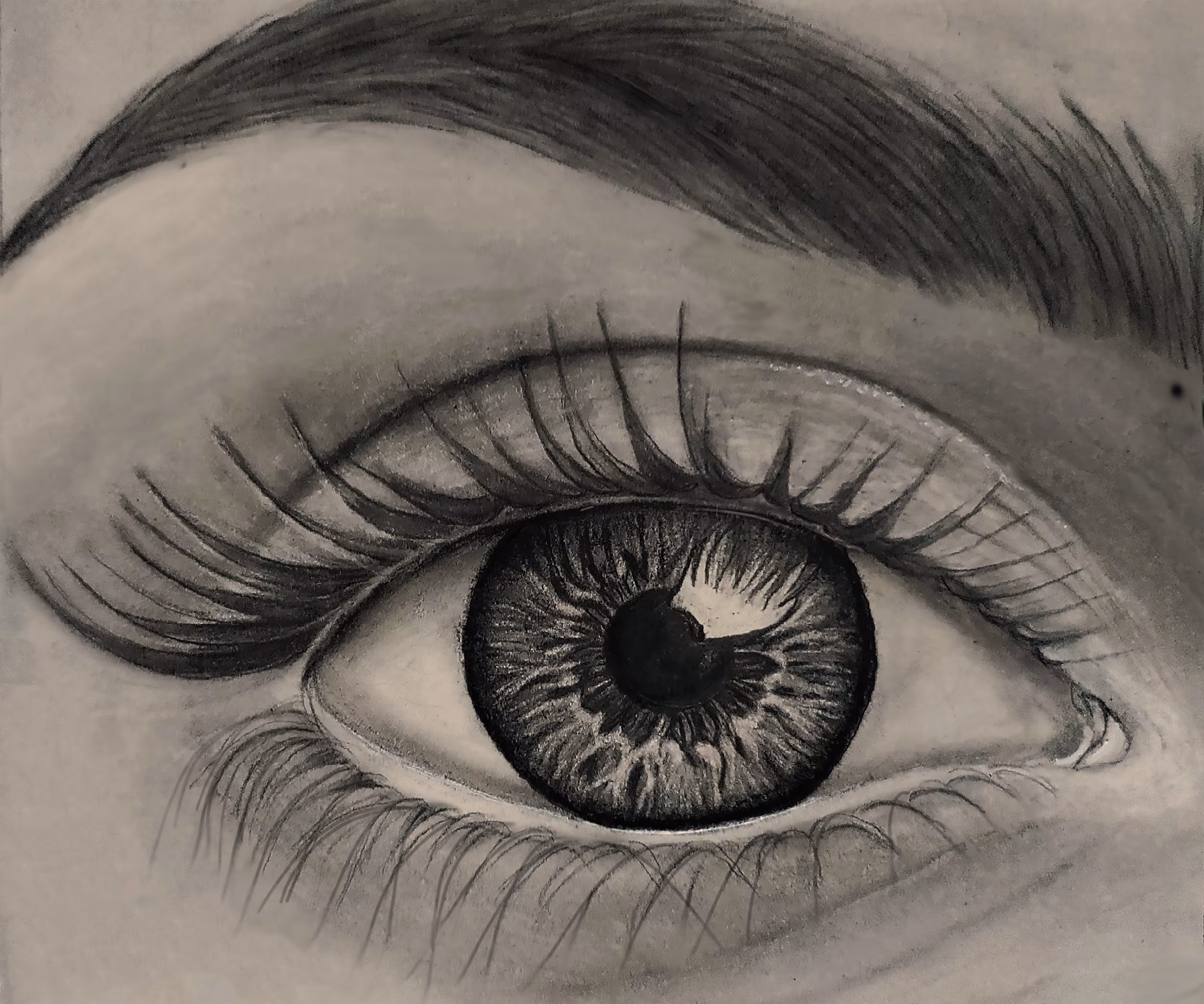 Eye Elegance ✨