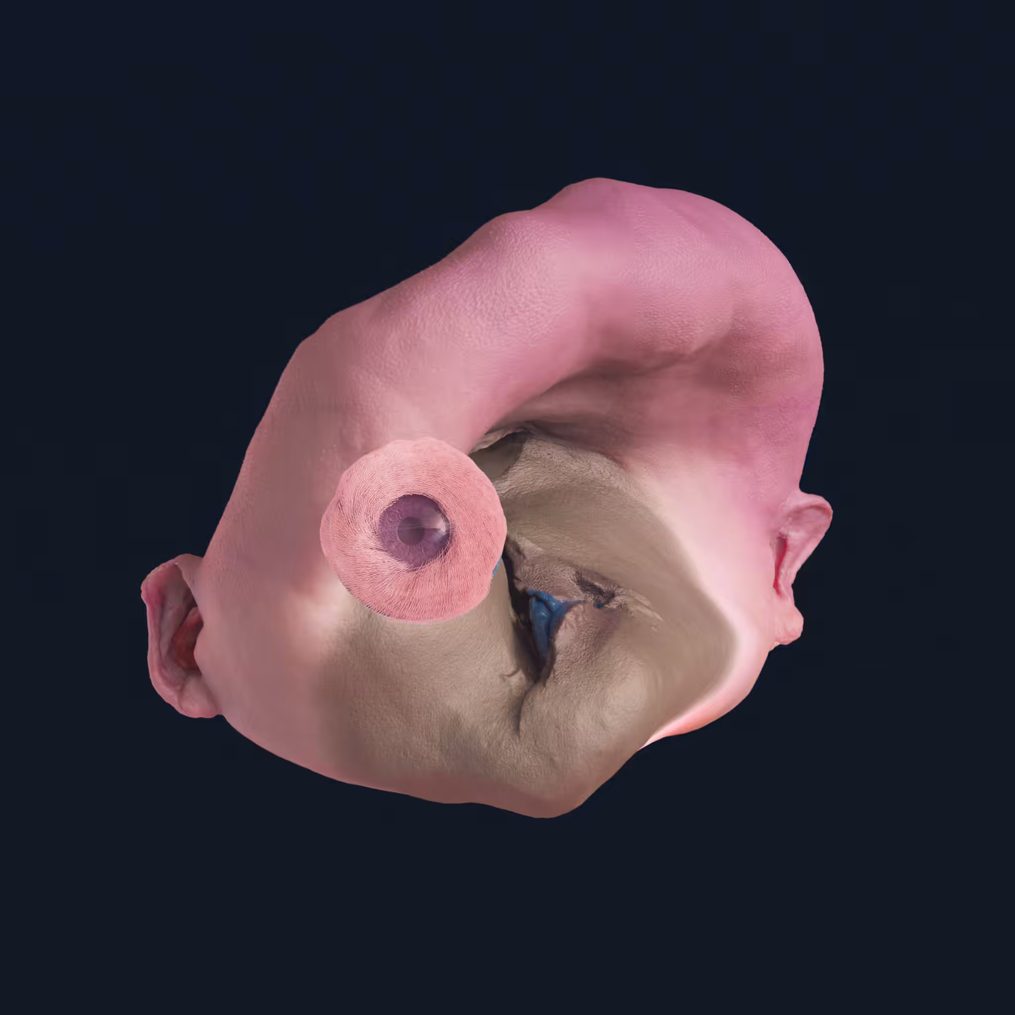 DEGEN #054
