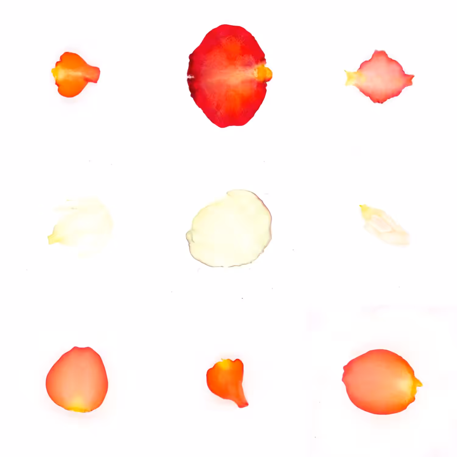 Infinite Petals 3x3#260
