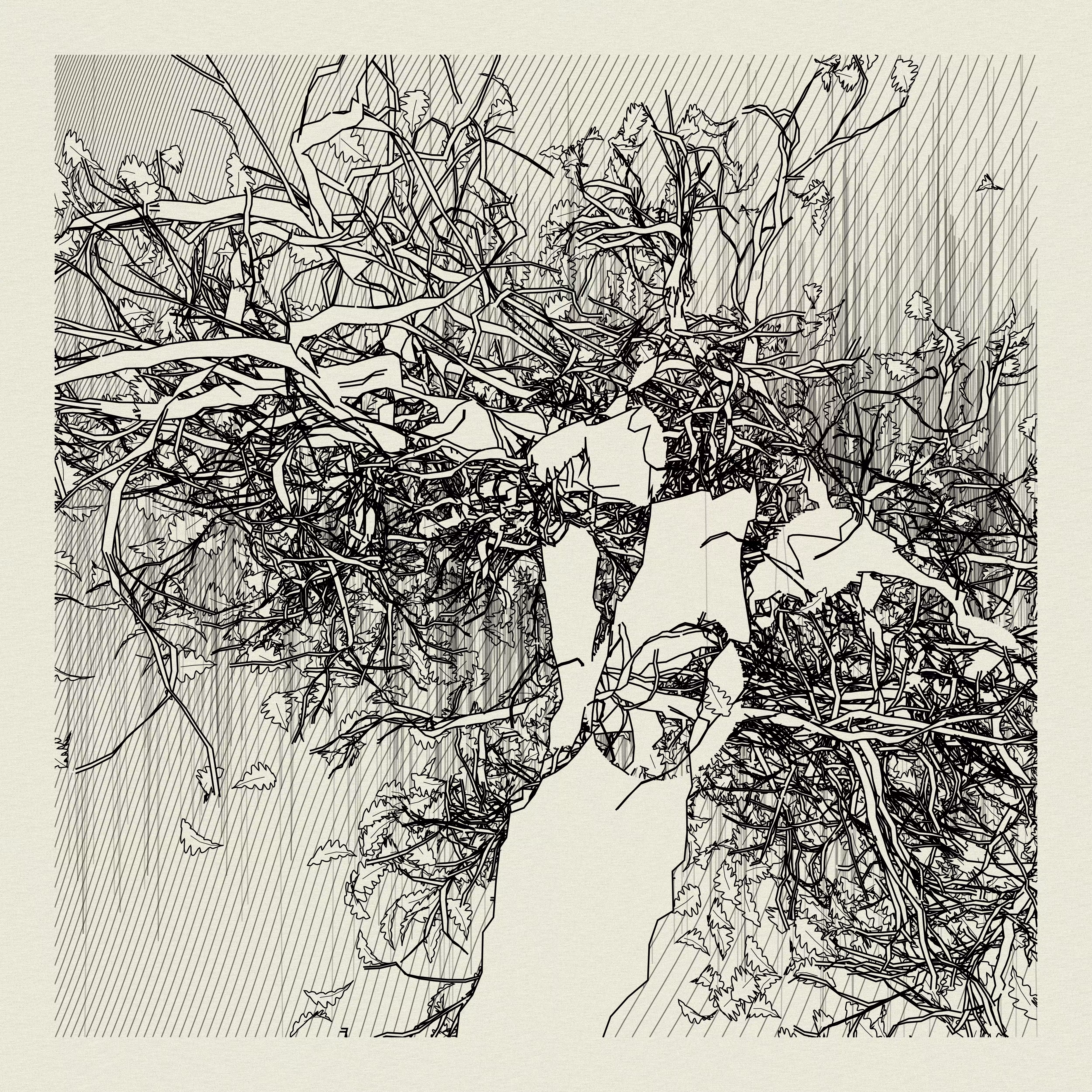 A Bugged Forest #611