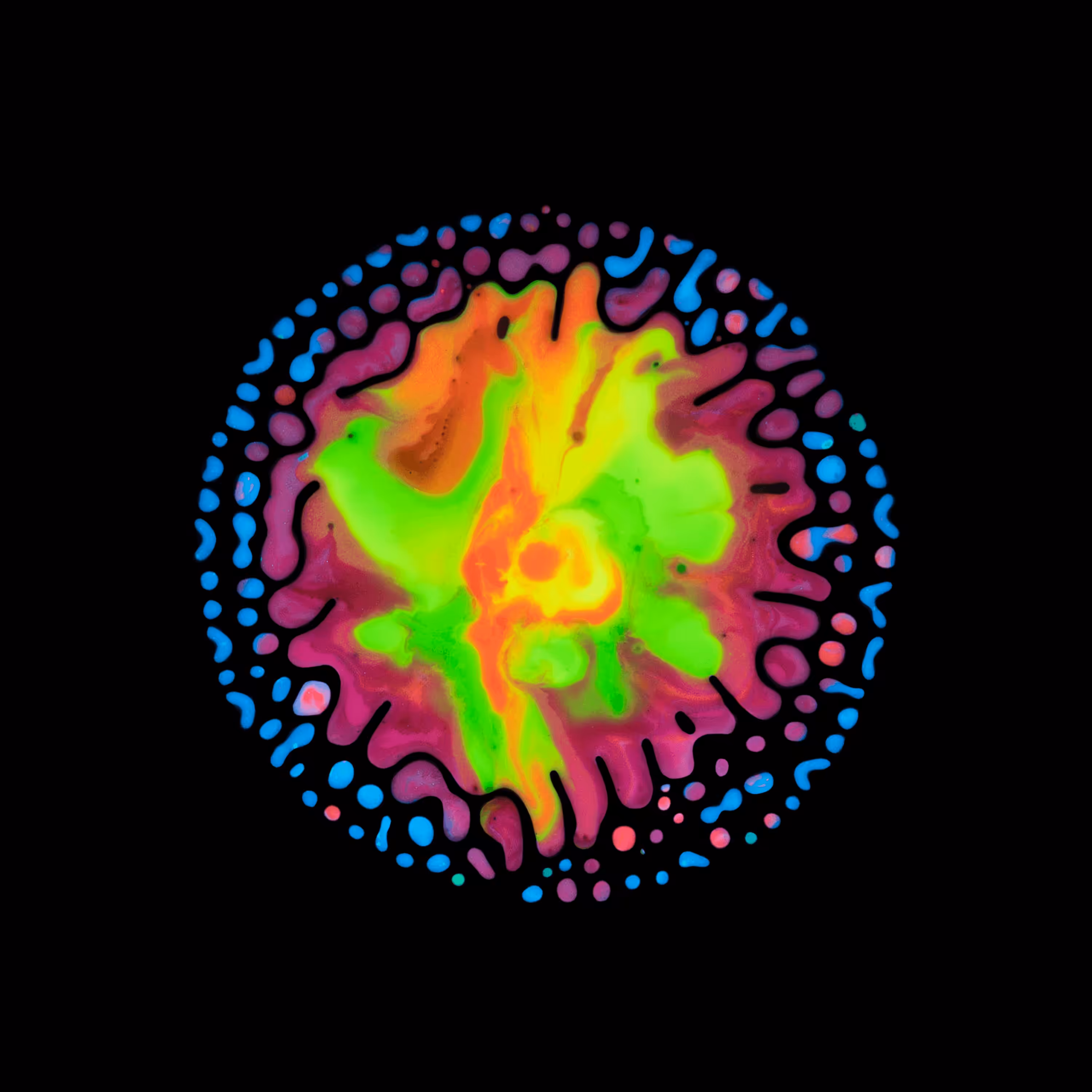Haematopoiesis #98