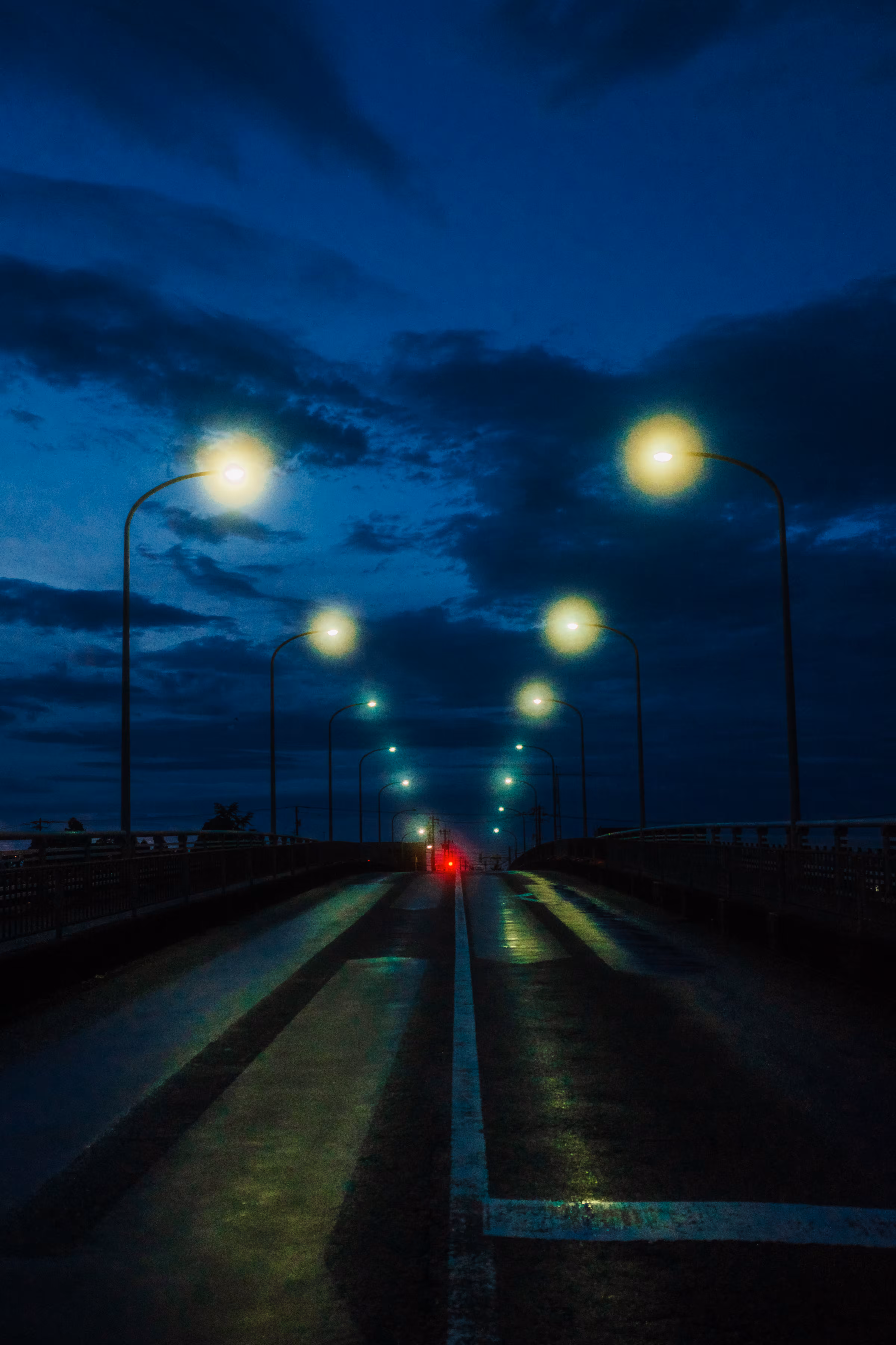 STREET LIGHTS In Fukui