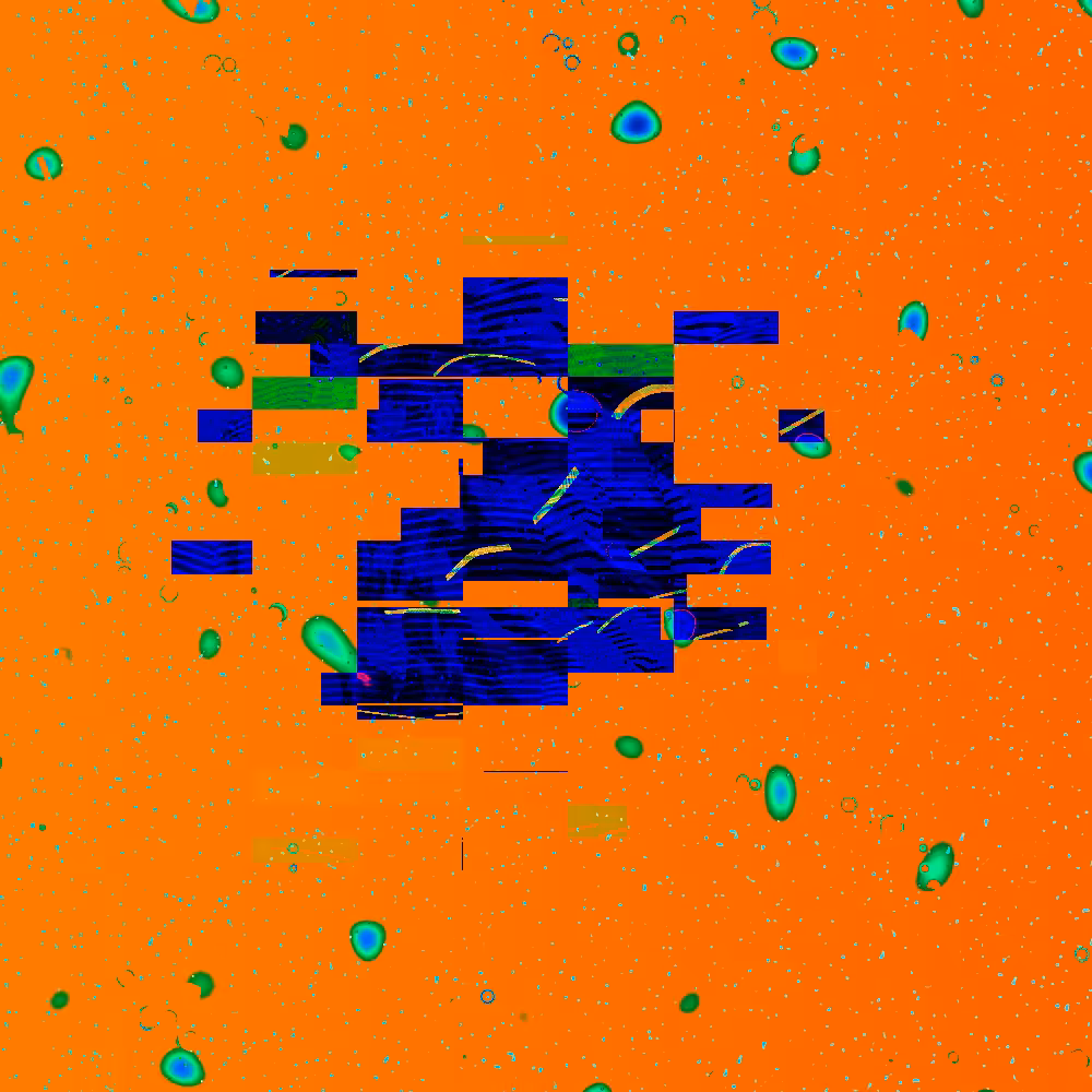 Seed and Spores #25