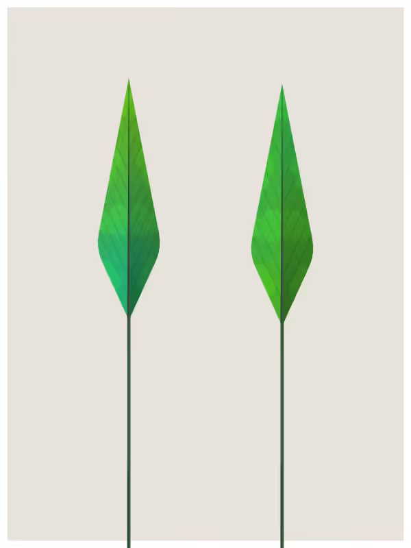 Leaves #43