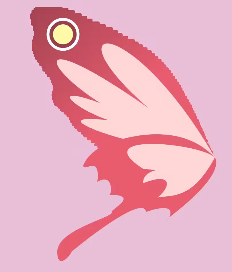 butter+fly #1