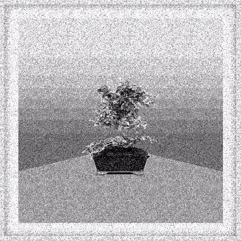 Bonsai Bonanza #415