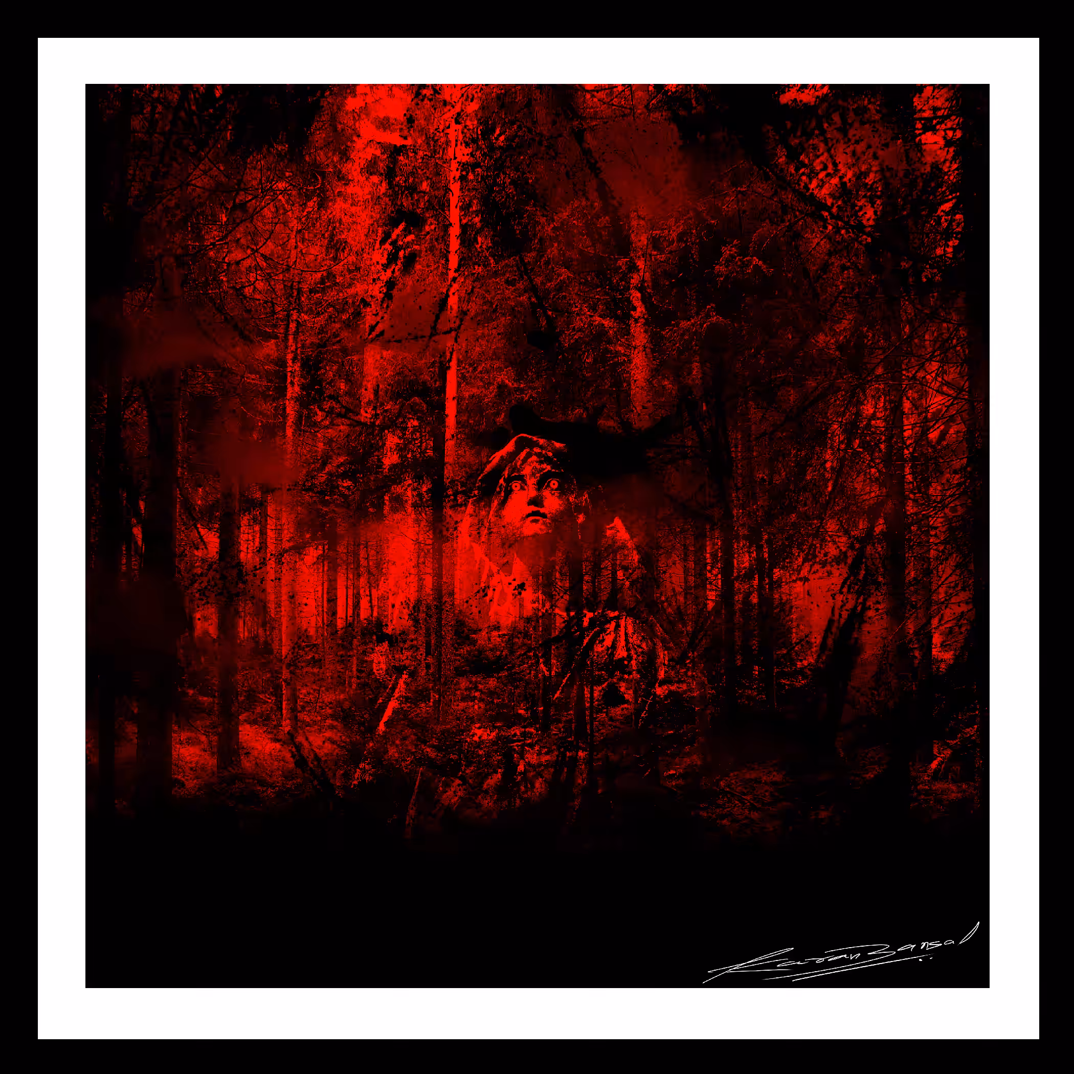 The Witch In Woods