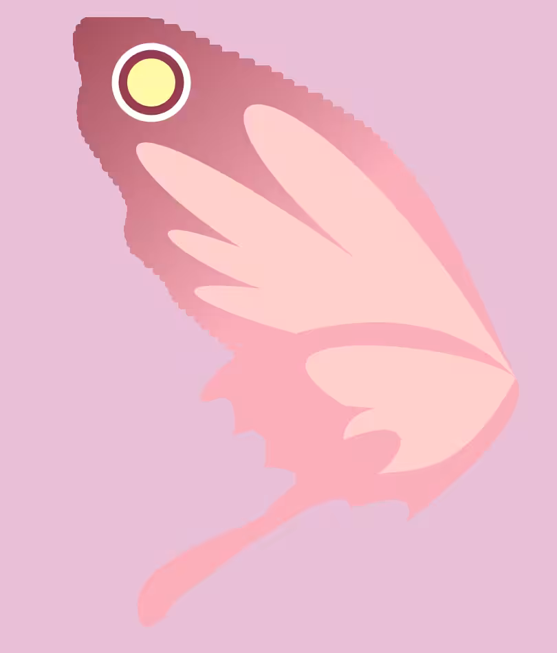 butter+fly #24