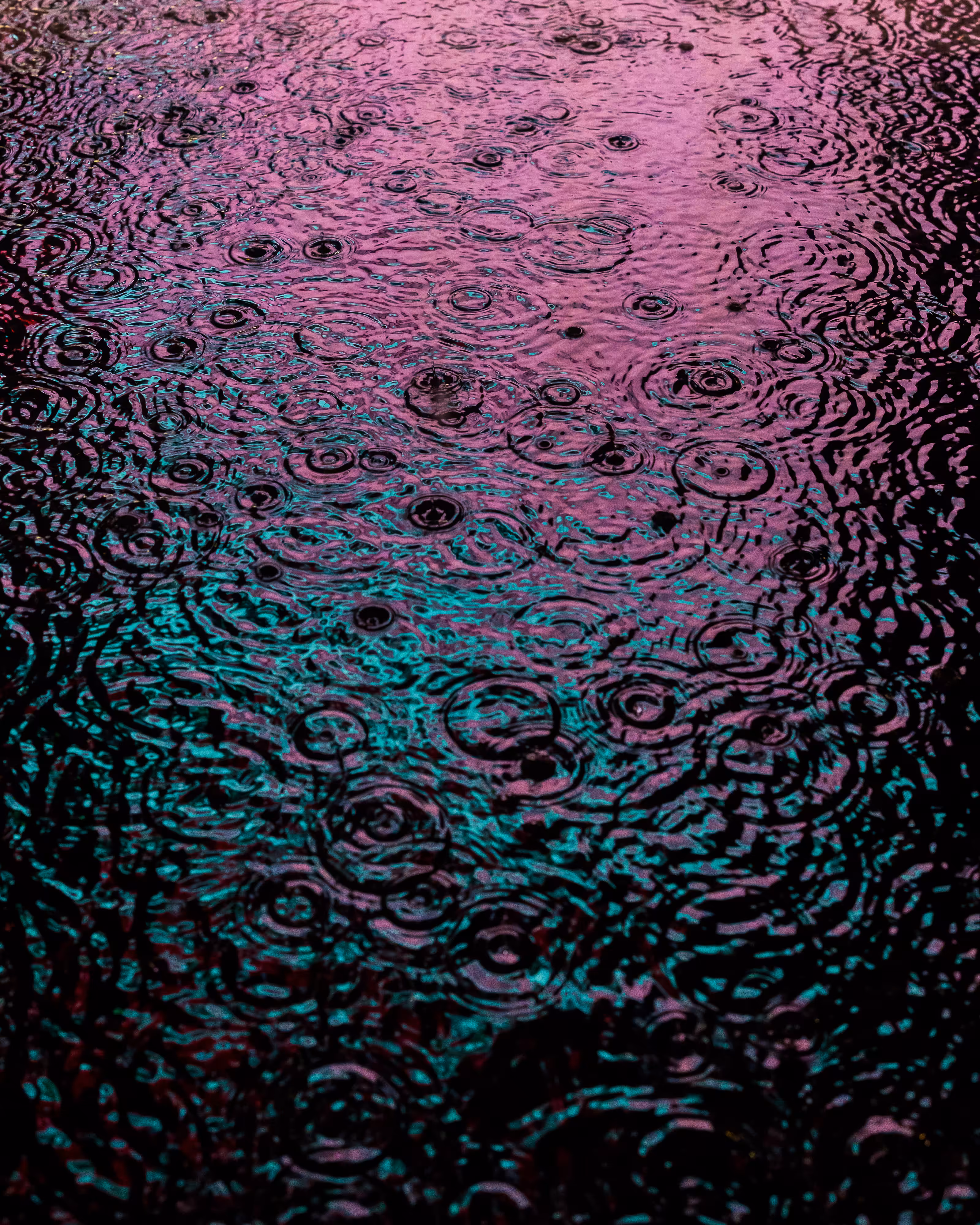 DRIP #9: TRANSMISSION