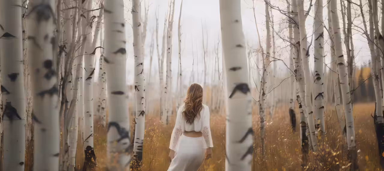 Walk in the Woods