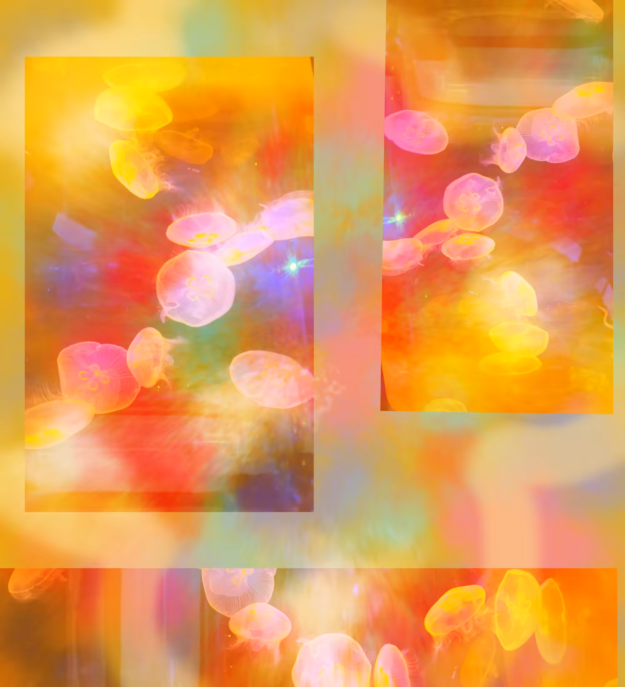 Daydream - yellow