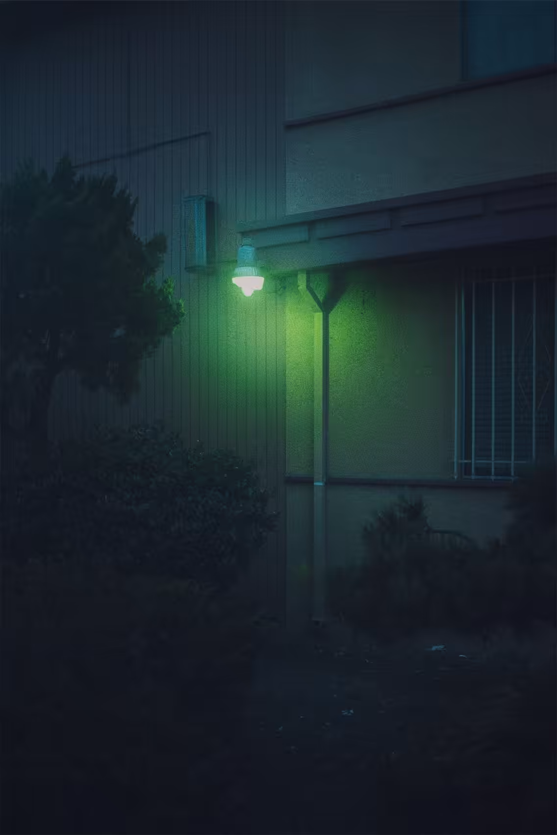 006