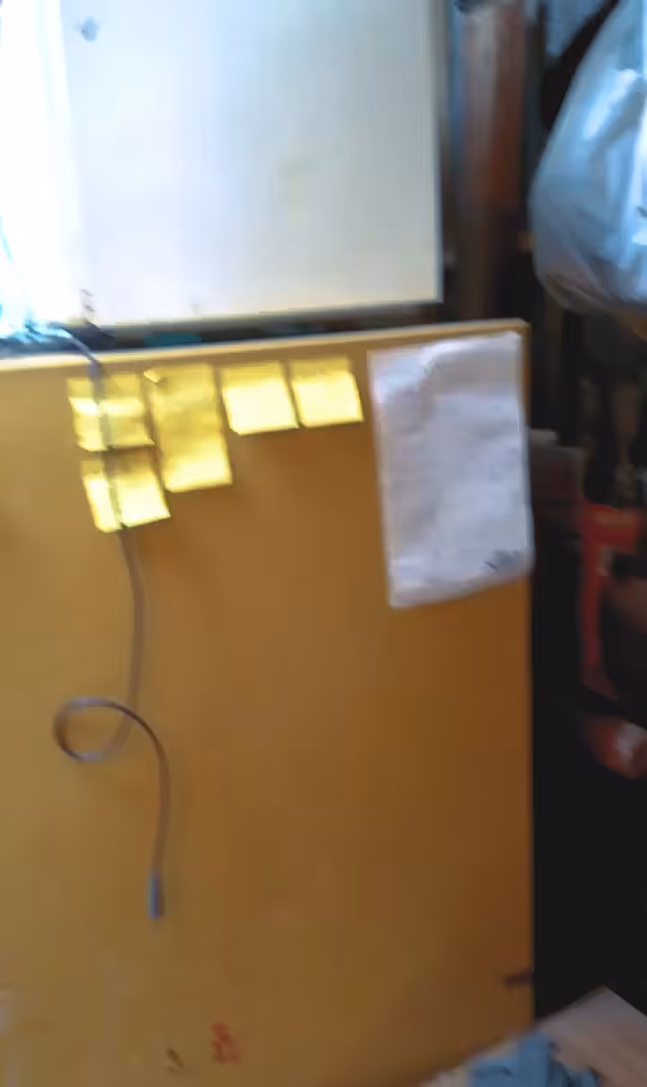 Daily shit