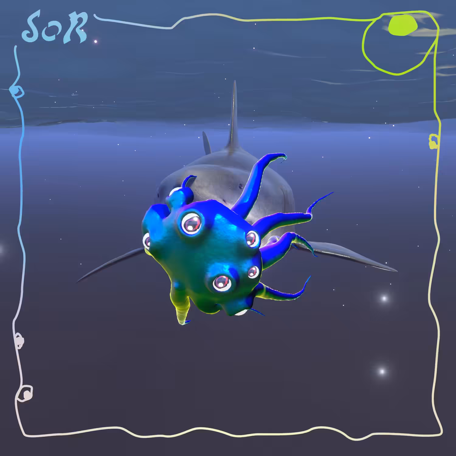 Shark #942