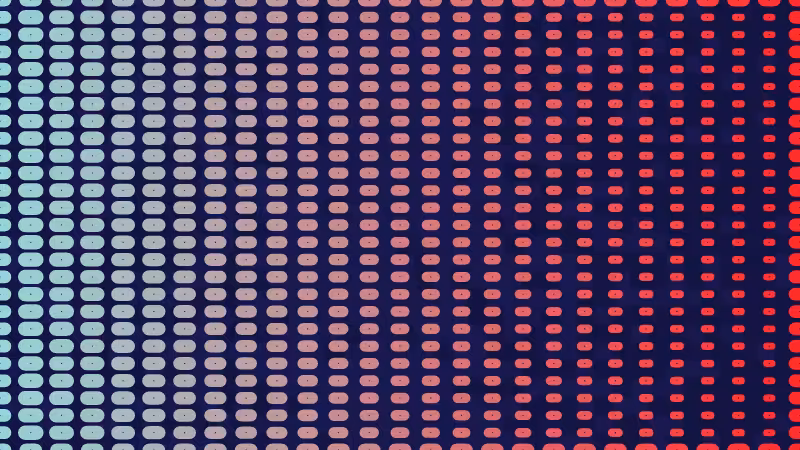 Polka #25