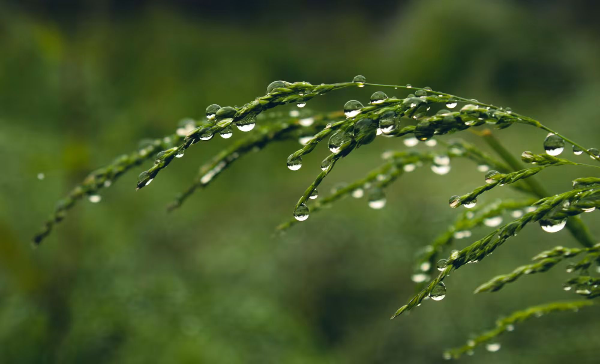 Ocean in a Drop