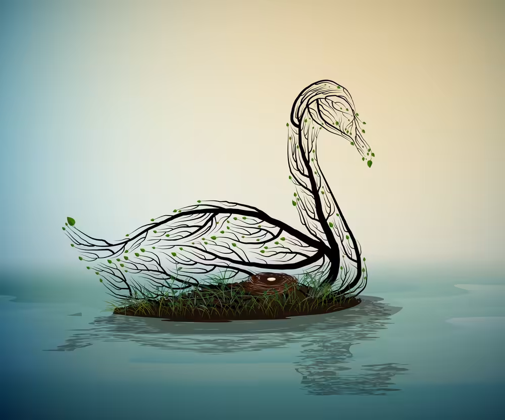 The last swan