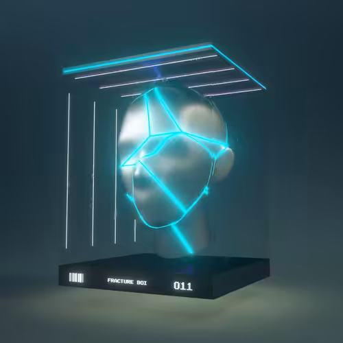 FRACTURE BOI - 011