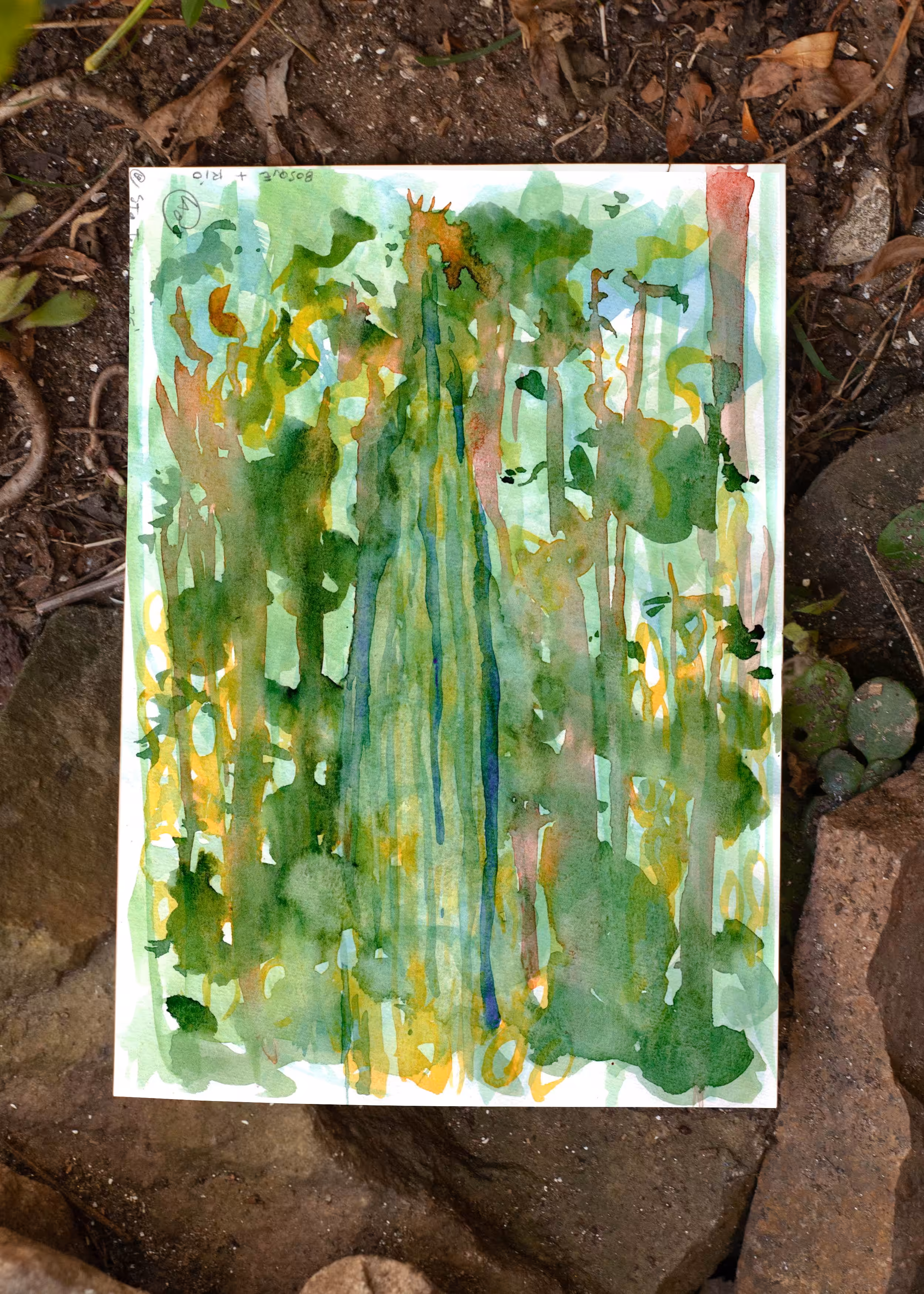 BOSQUE + RÍO