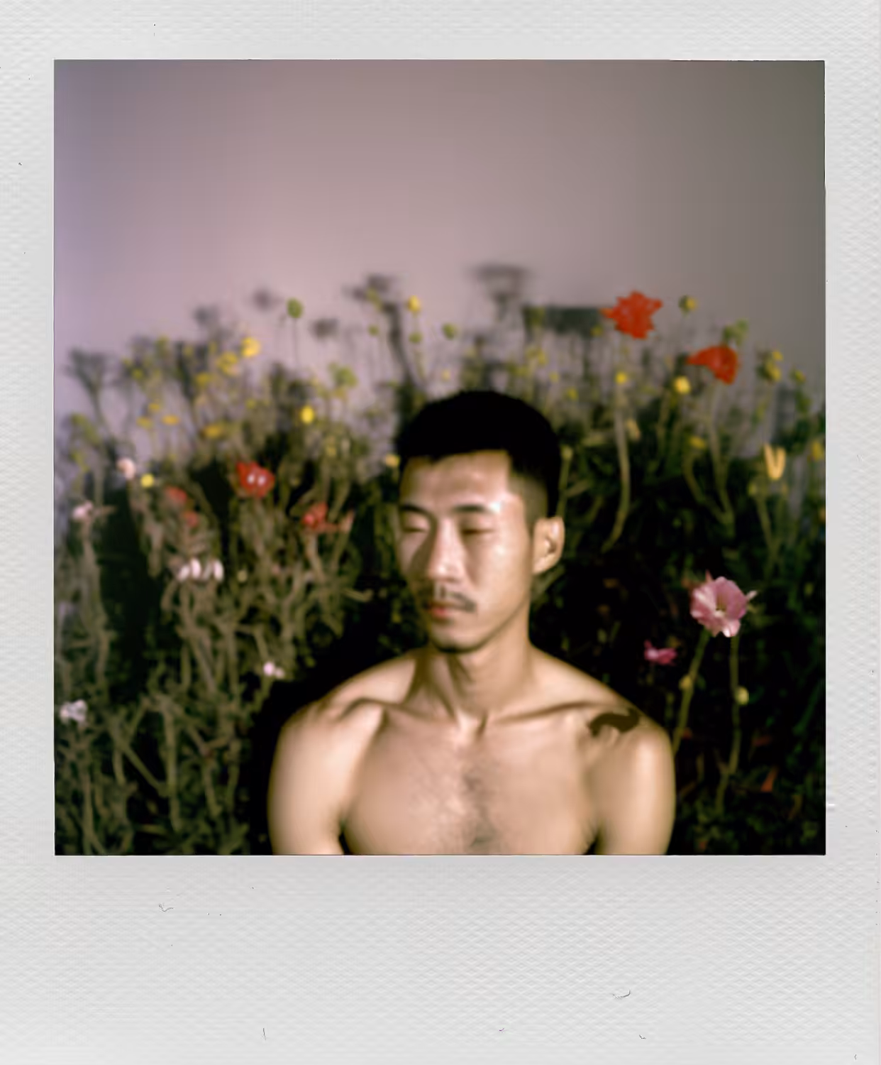 Garden Installation, Instant Photo (polaroid), 2005