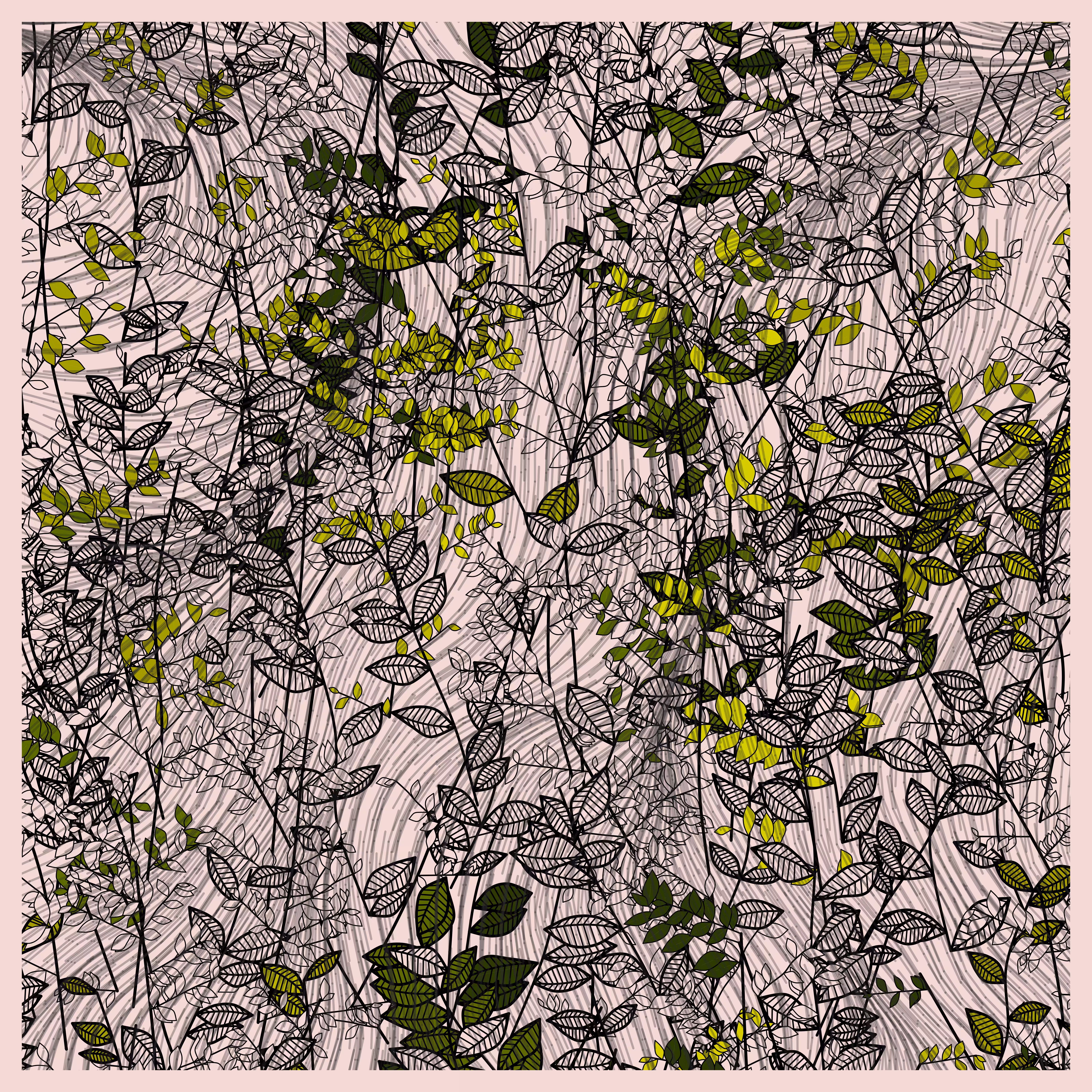 Random Plants #237