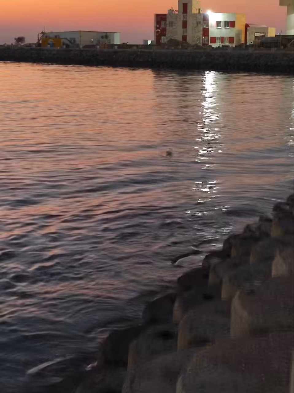 Sea🌊