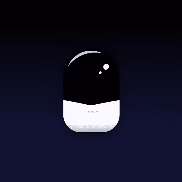 Pokey SE: Tesla Bot