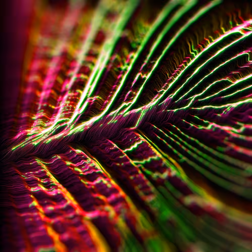 DIGITI LEAF