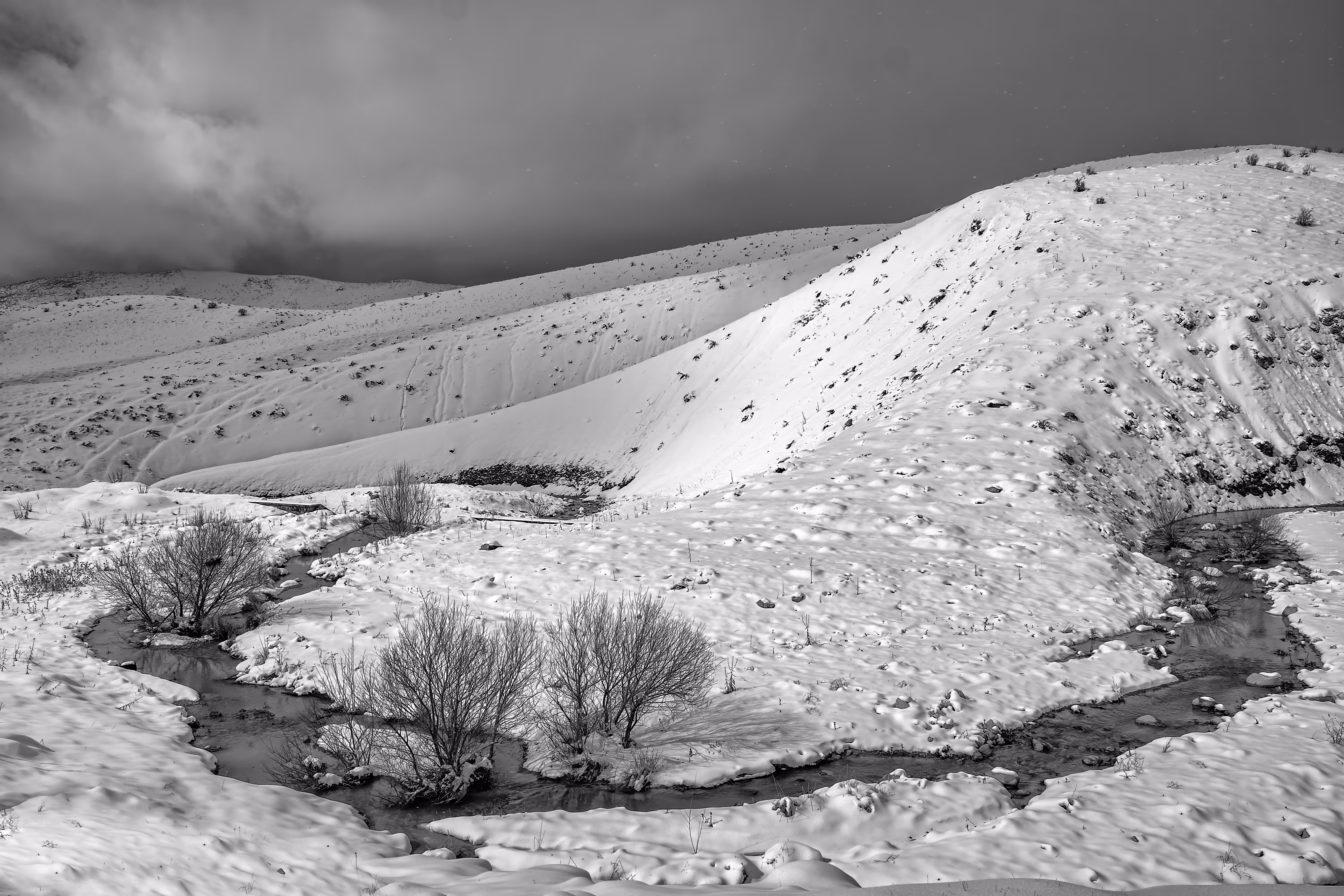 Snowy Day