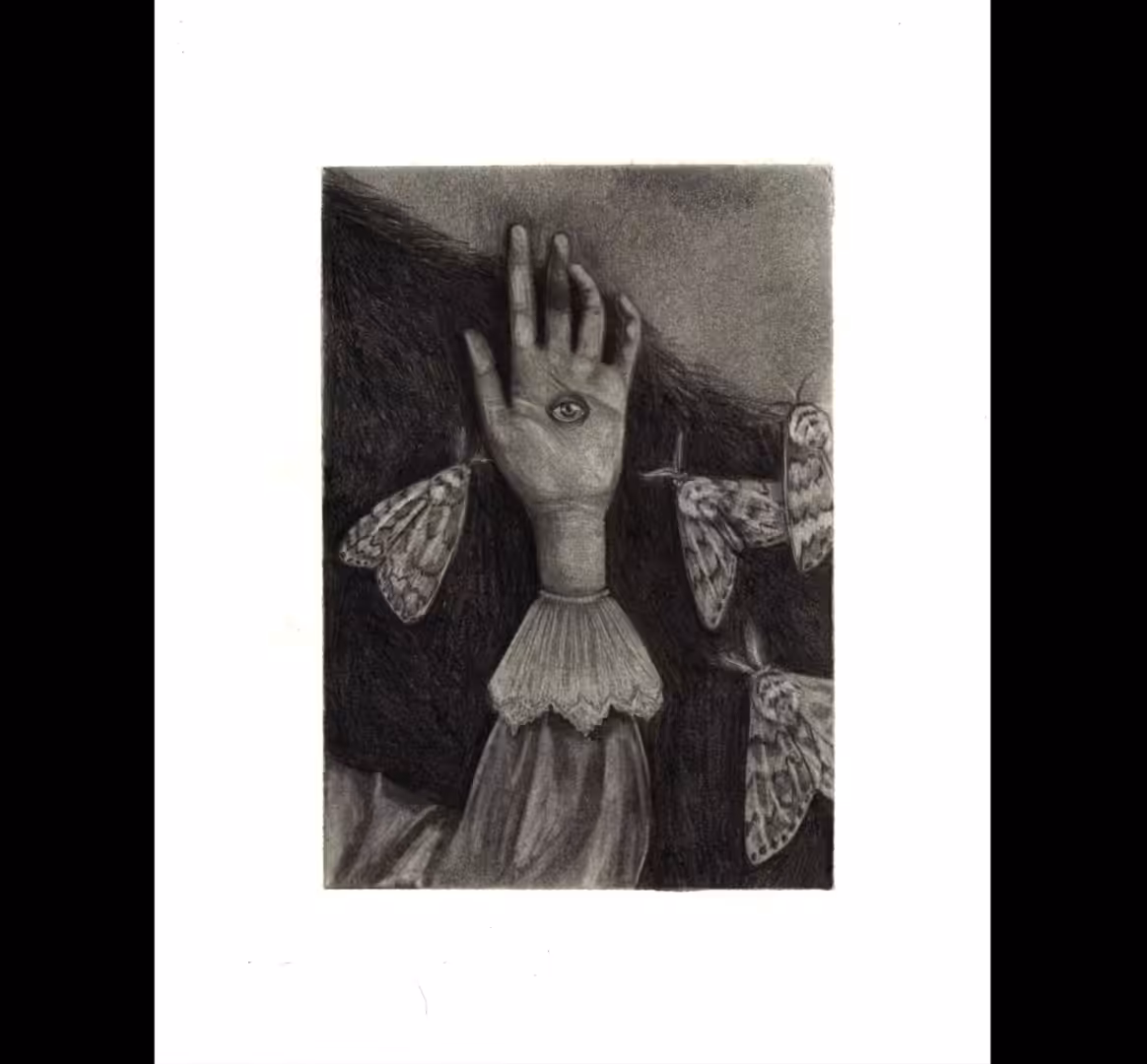Moth night